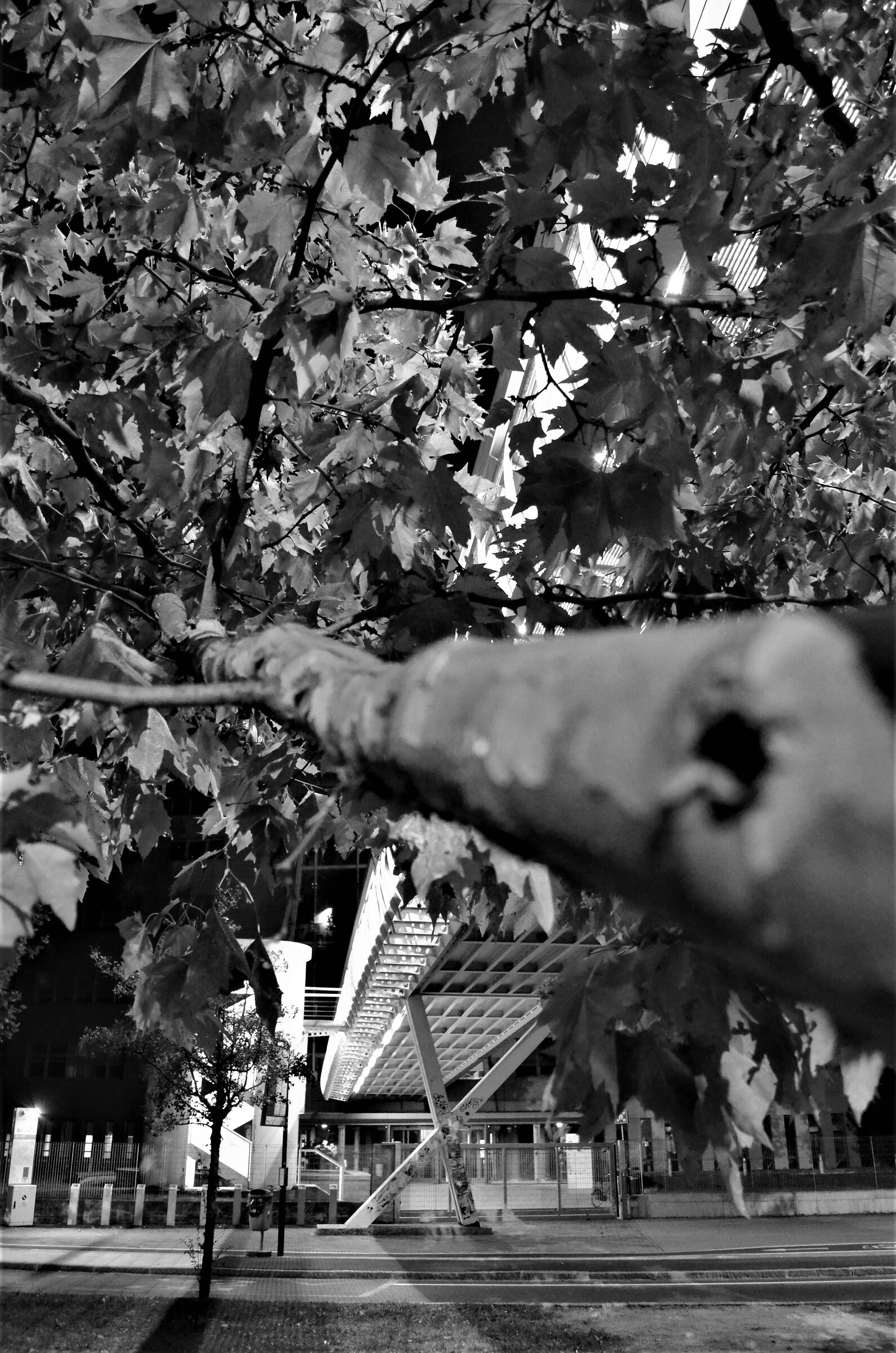 Via Branze a Brescia