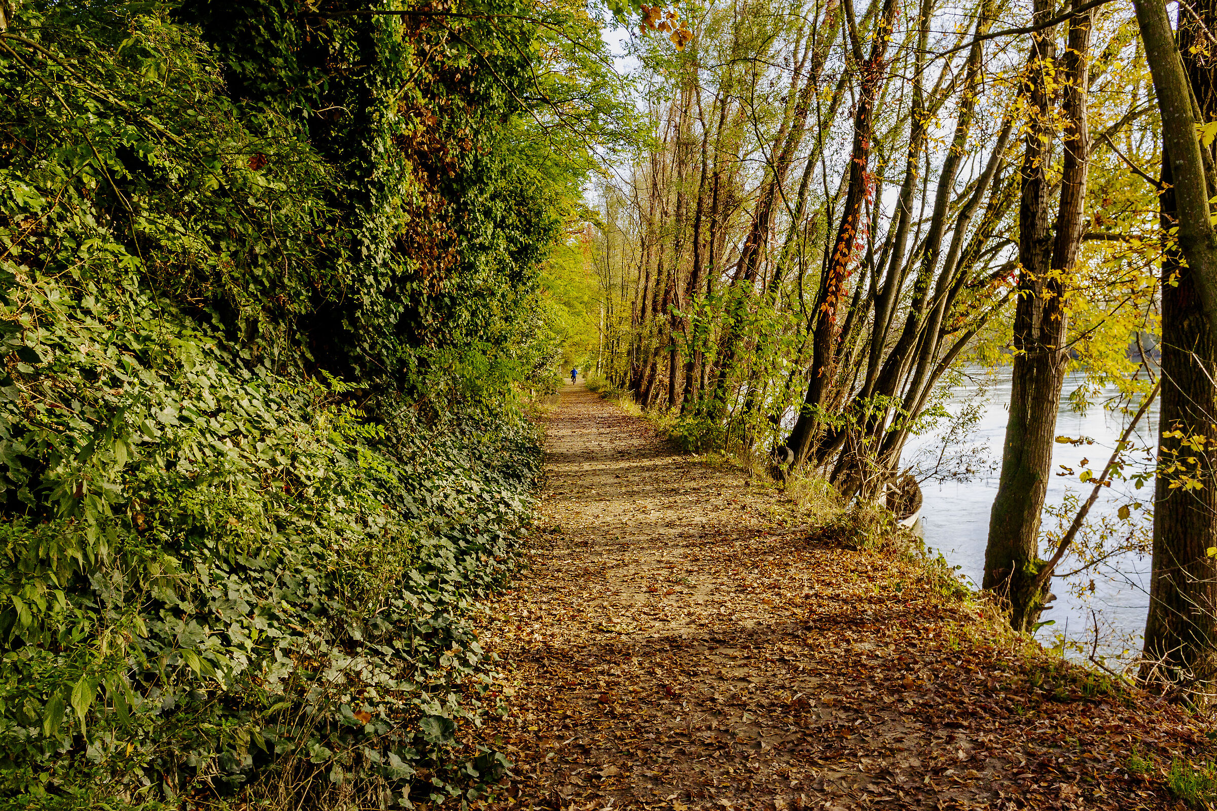 Sentiero lungo il fiume