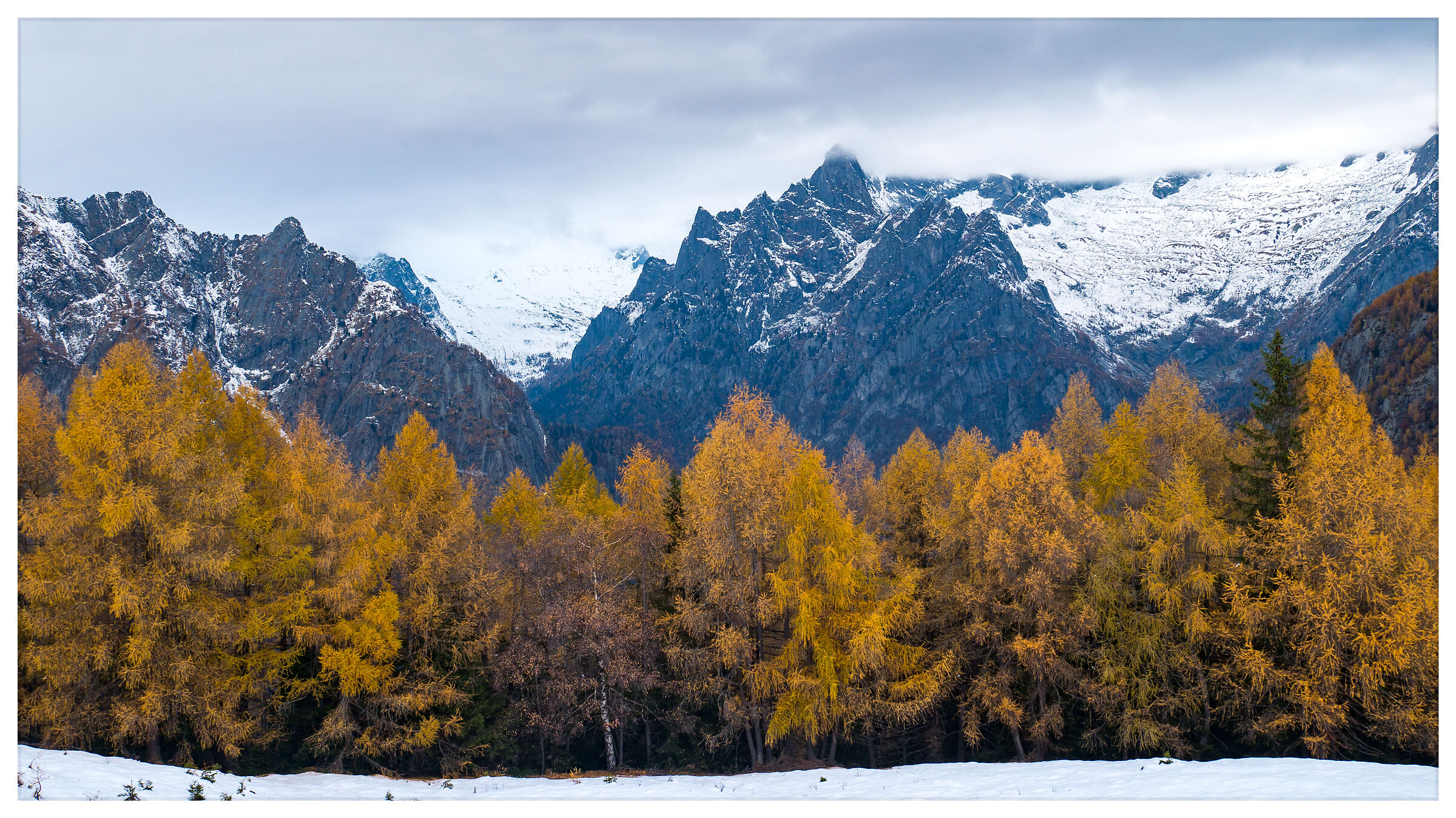 Autumn in the alpine pasture