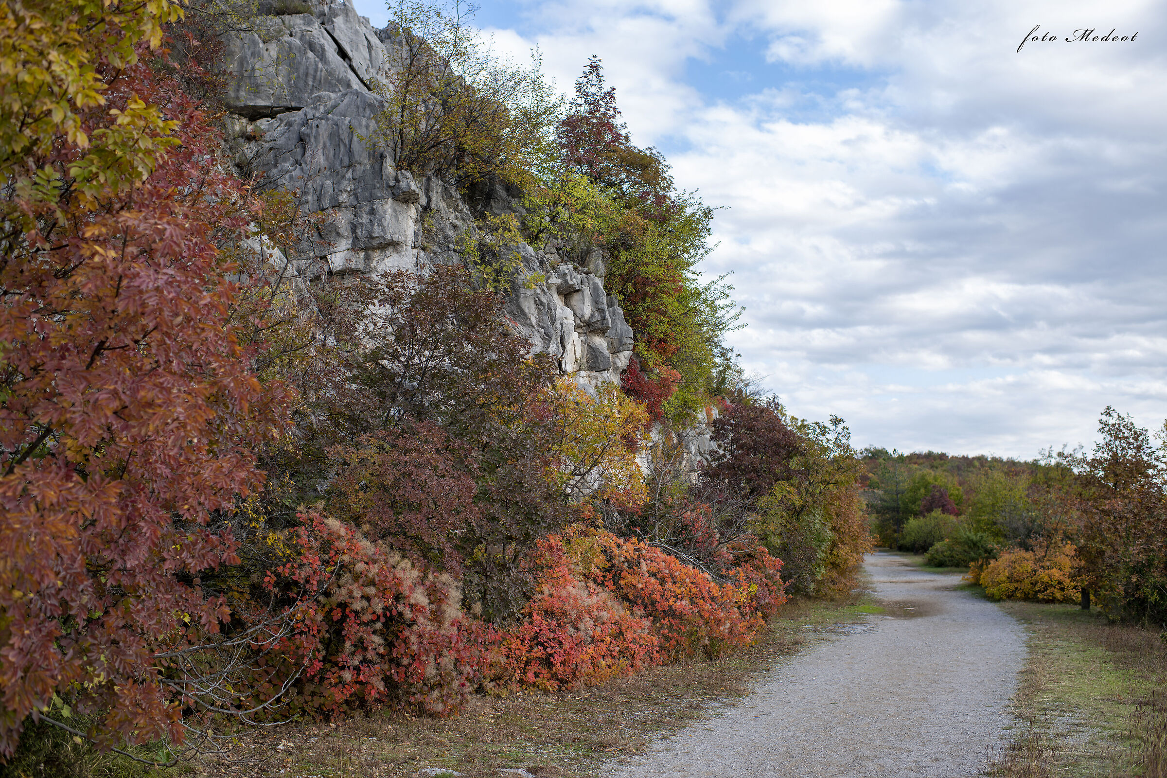 Sentieri autunnali sul carso