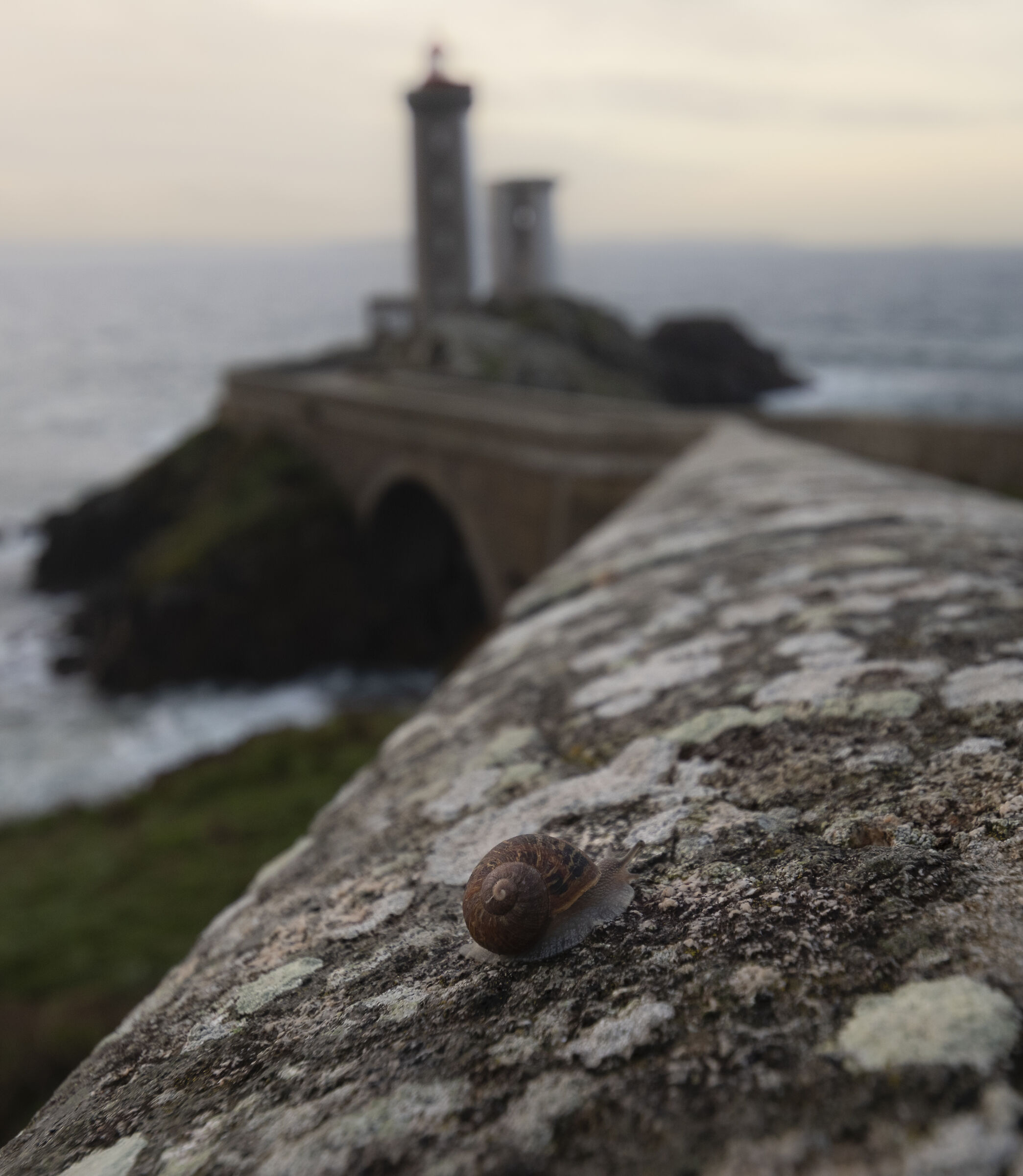 La lunga la strada per il faro