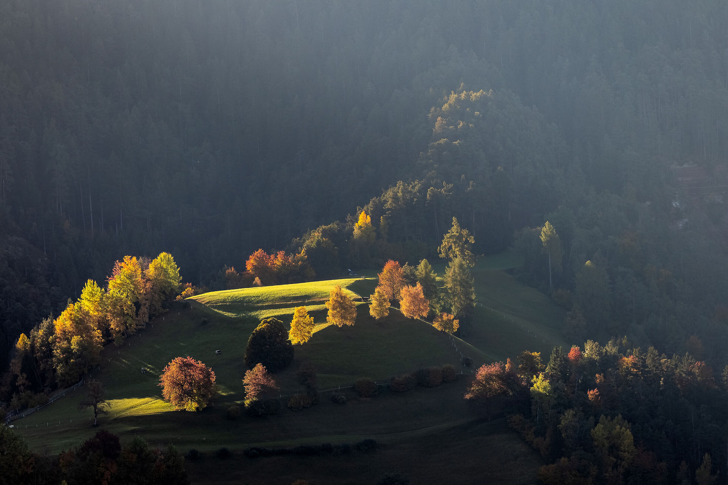 La prima luce d'Autunno