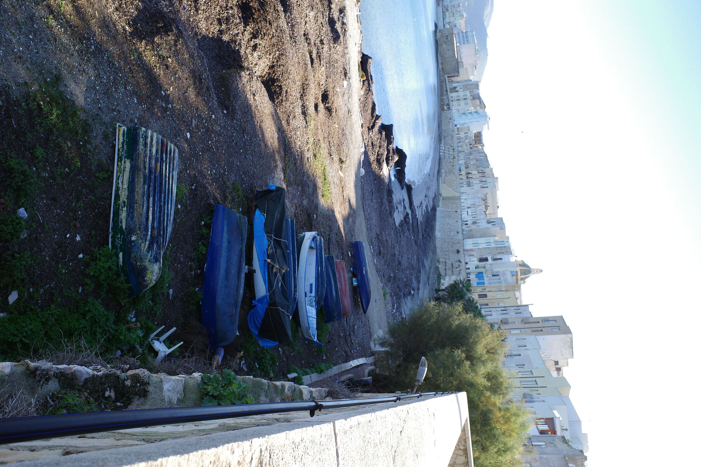 Trapani