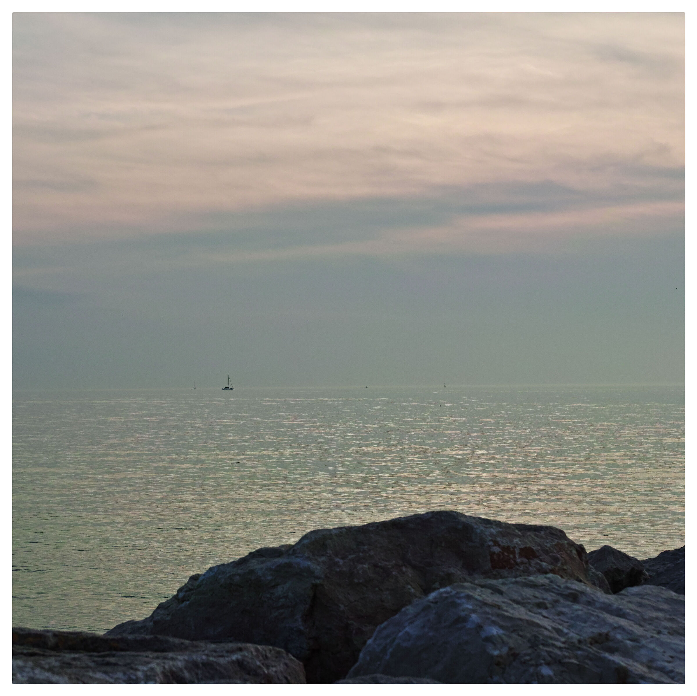 Untitled Photo