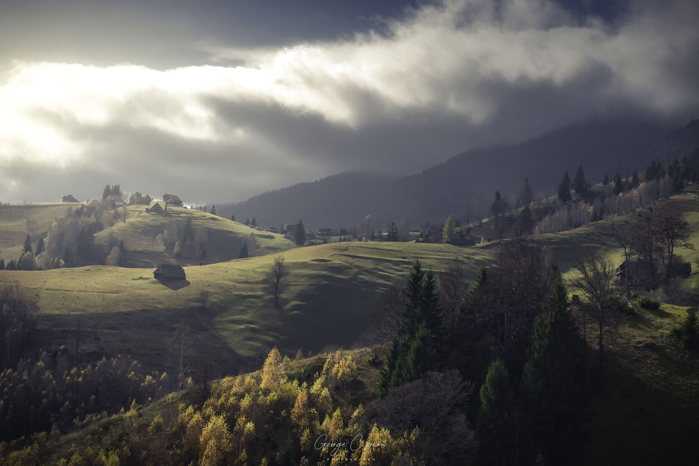 Ultime luci dell'autunno