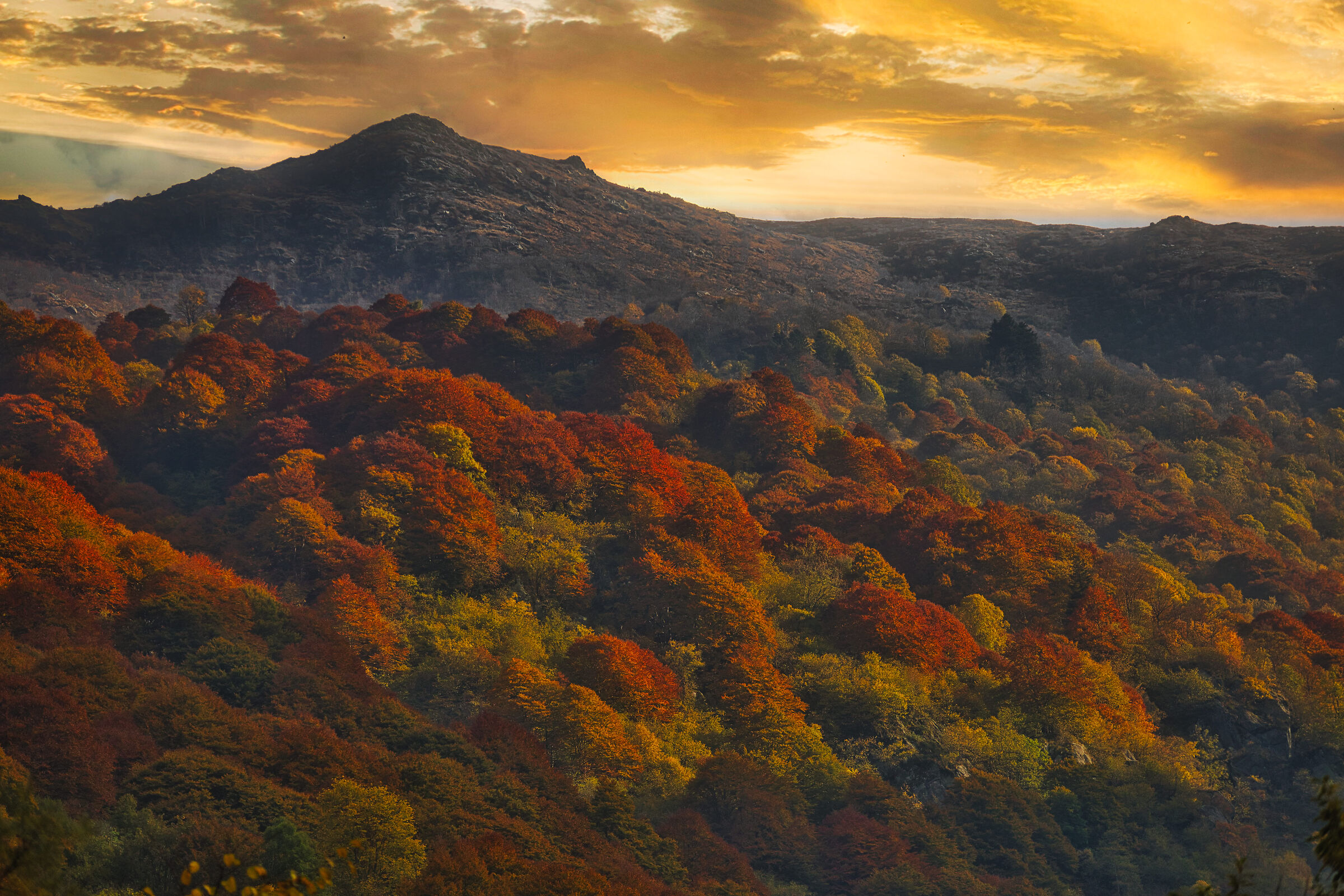 Autunno Uno