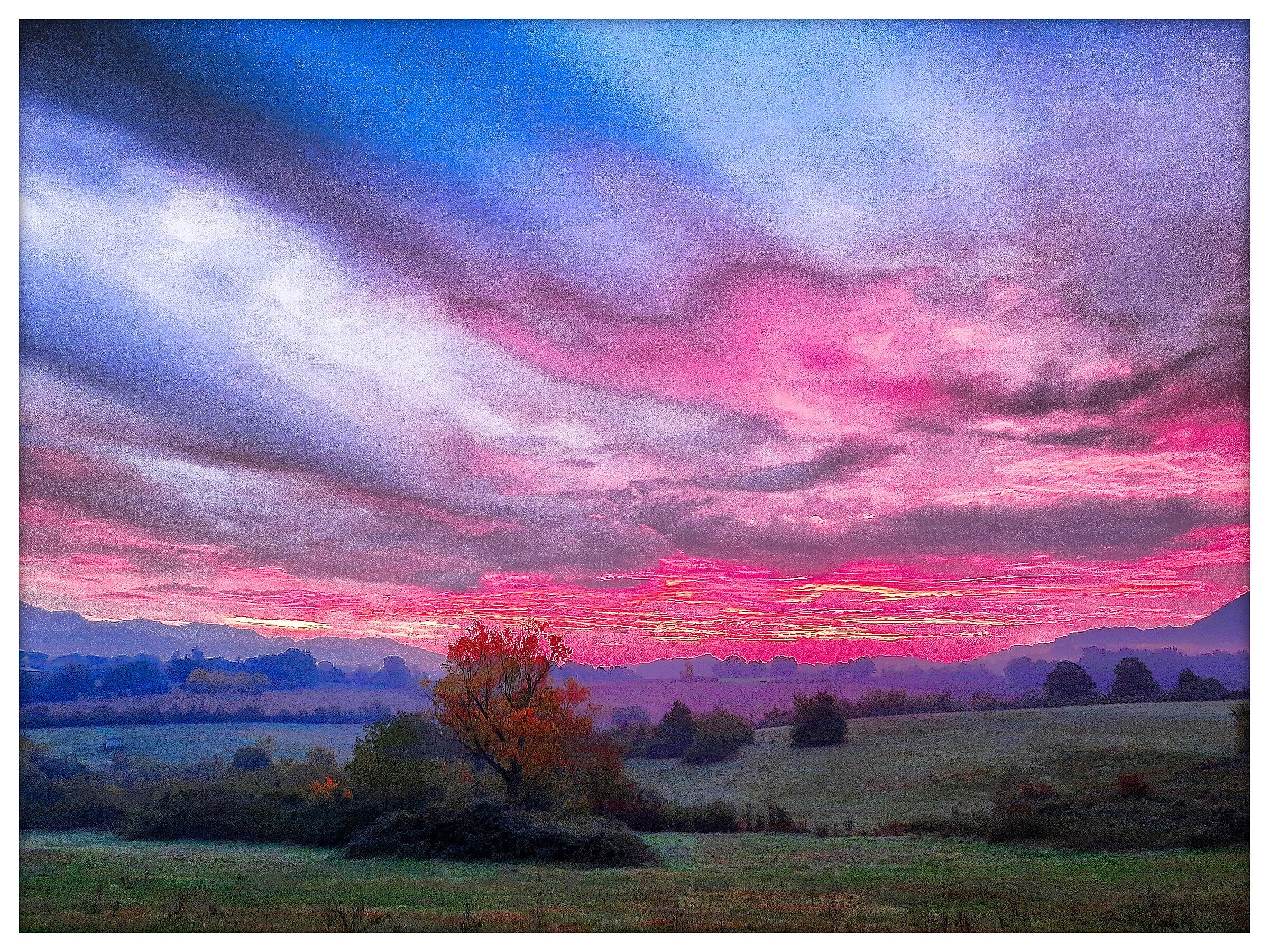 Alba di caccia  2
