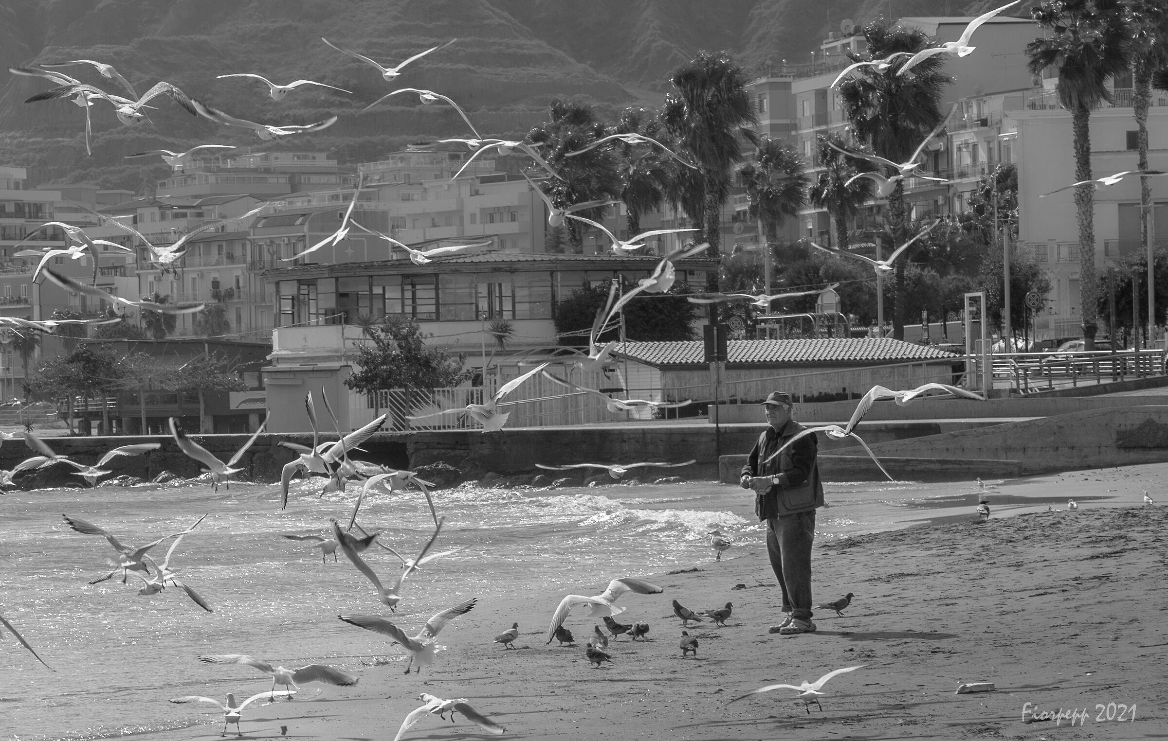 e' ora di mangiare...