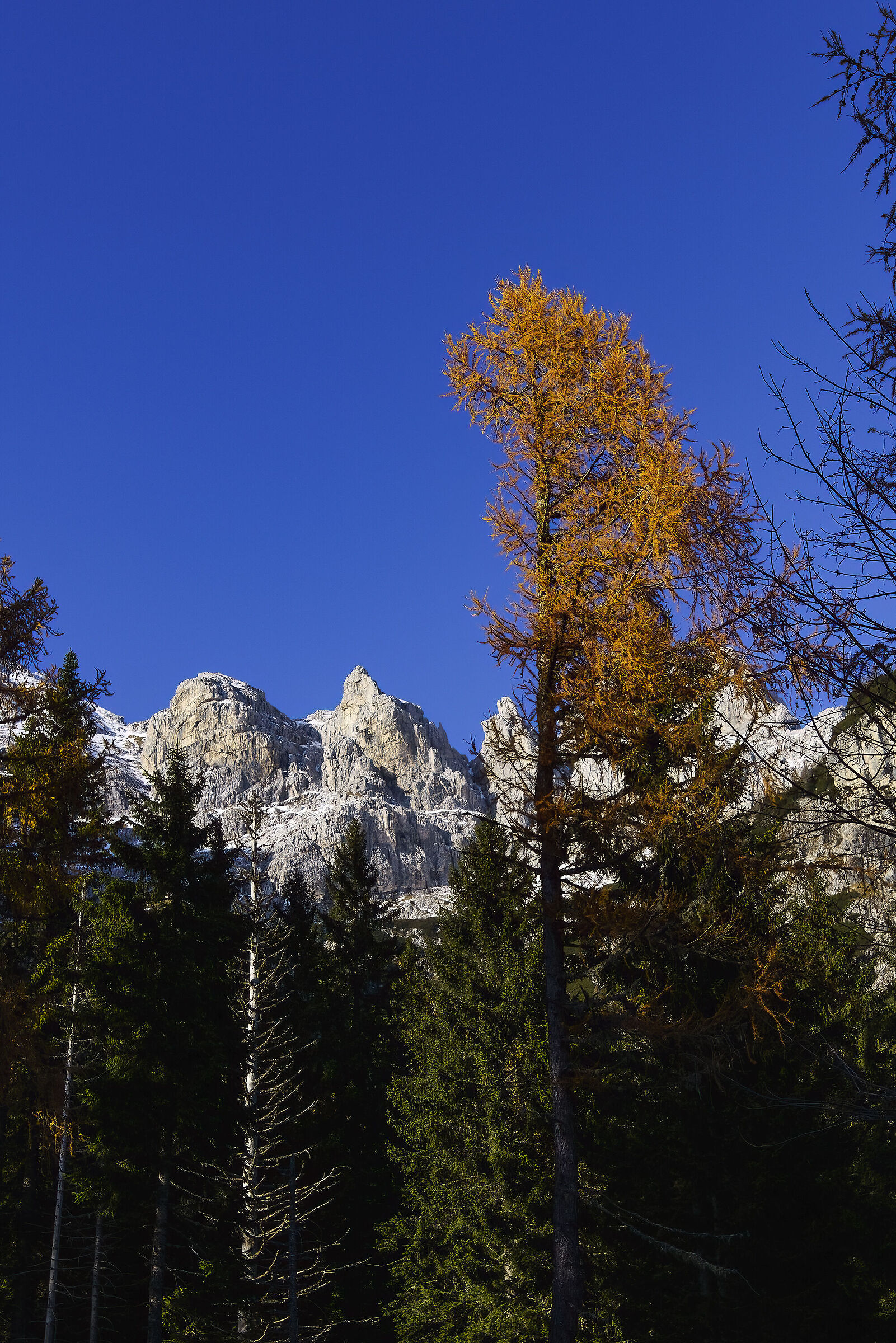 Autunno sulle Giulie