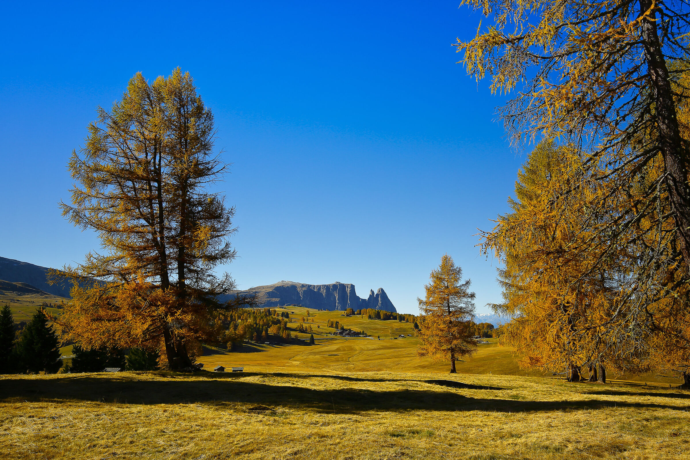Lo Sciliar dell'Alpe di Siusi