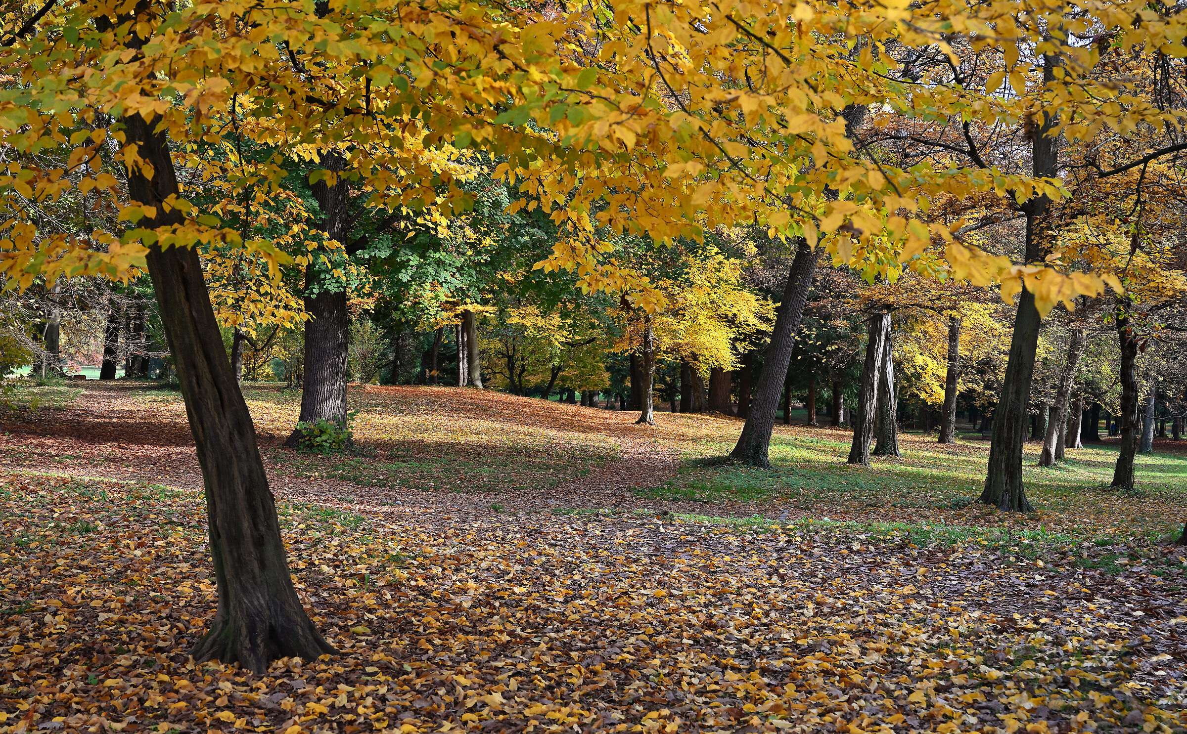 Monza Park