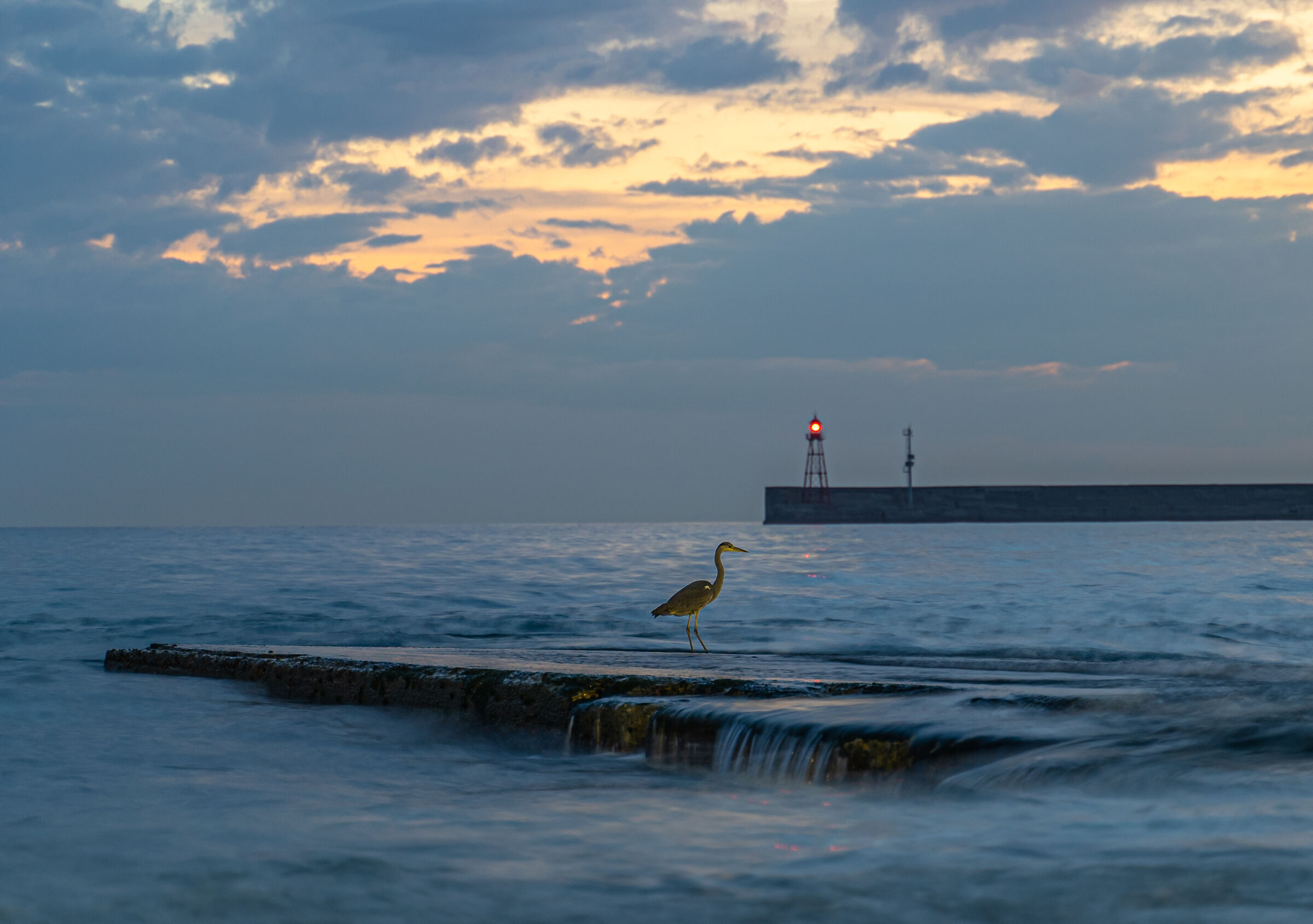 A friend appears at nightfall