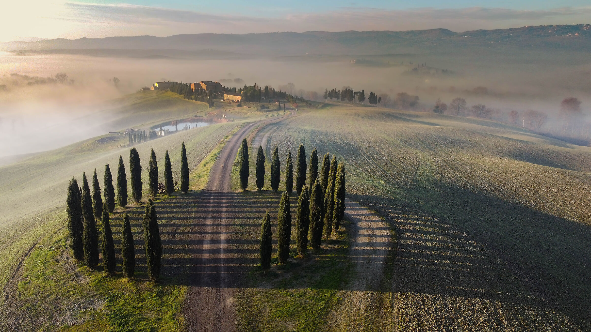 Cypresses of San Quirico 1