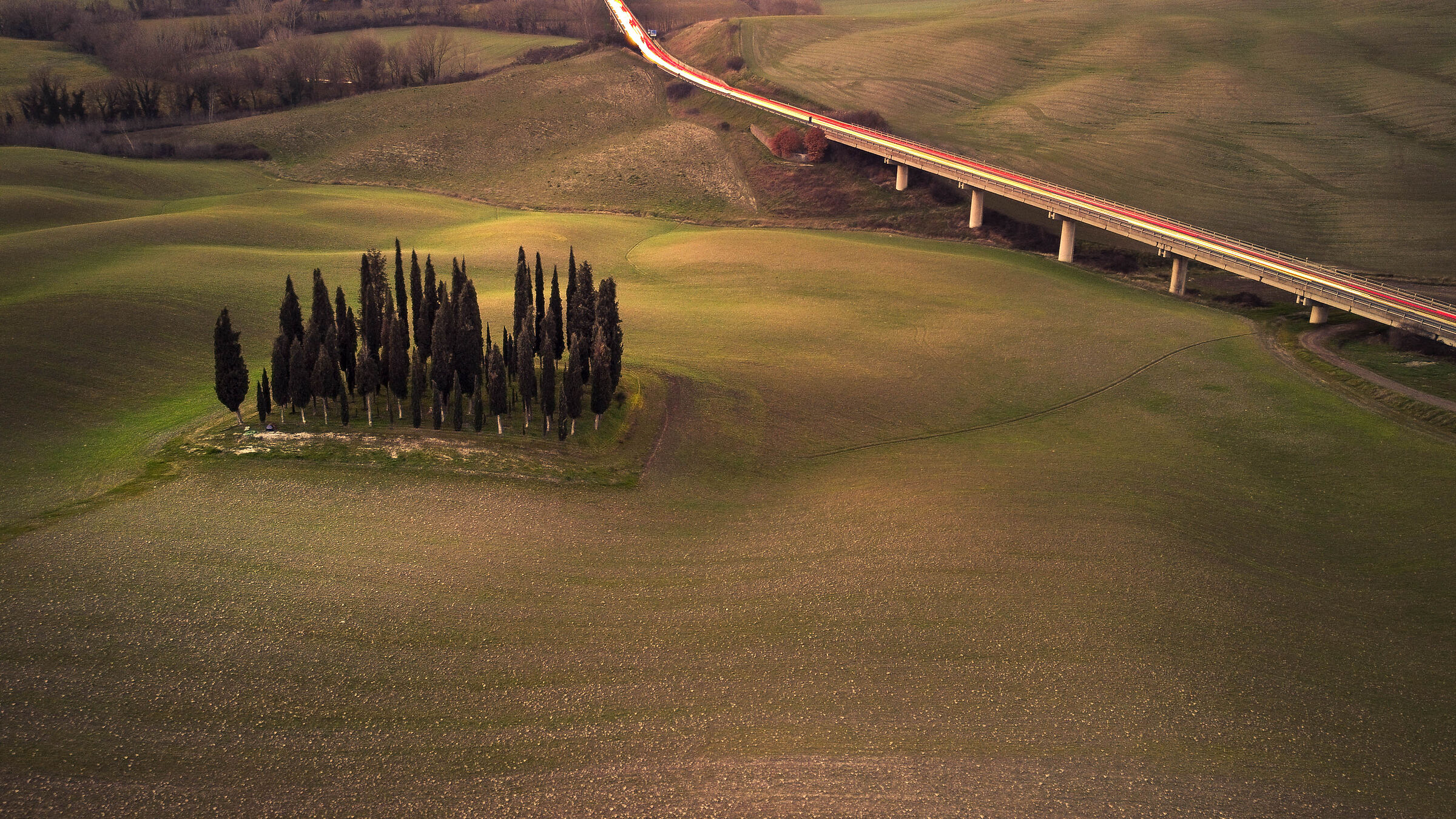 Cypresses of San Quirico 2