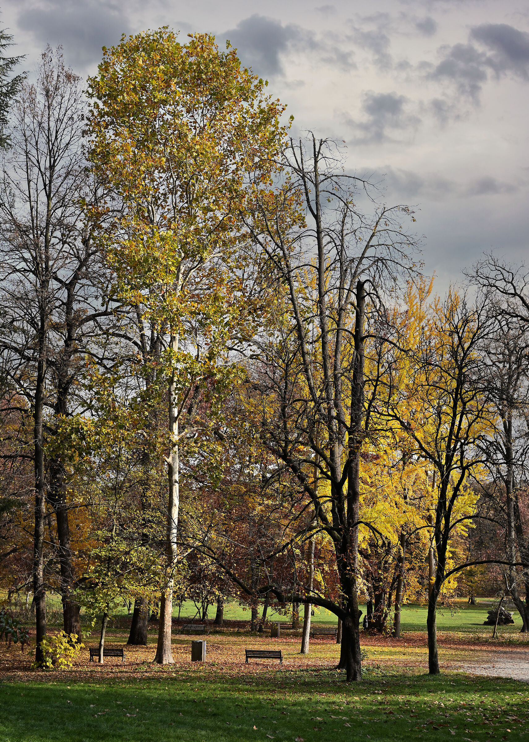 Monza Park