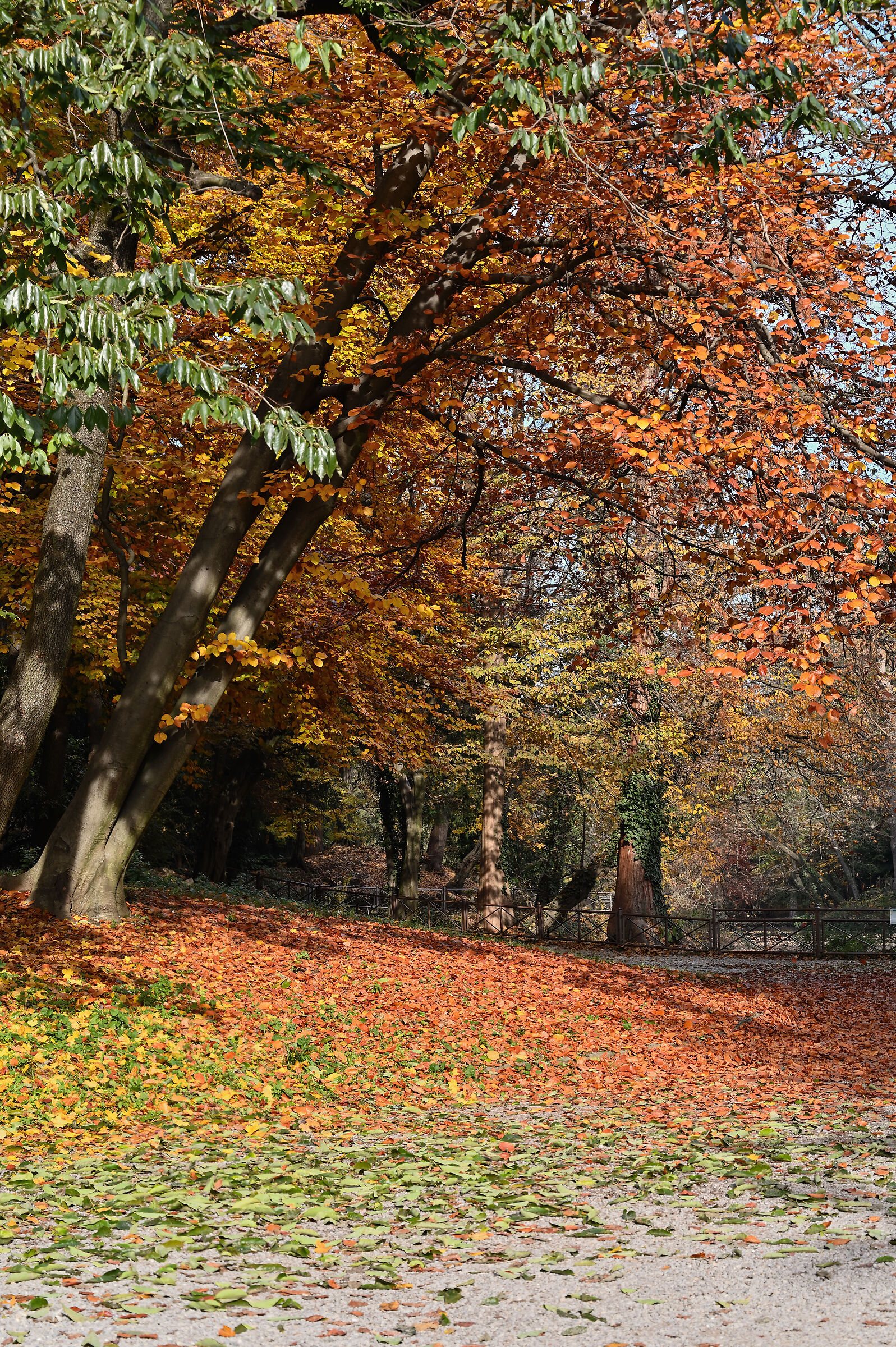 Monza Park