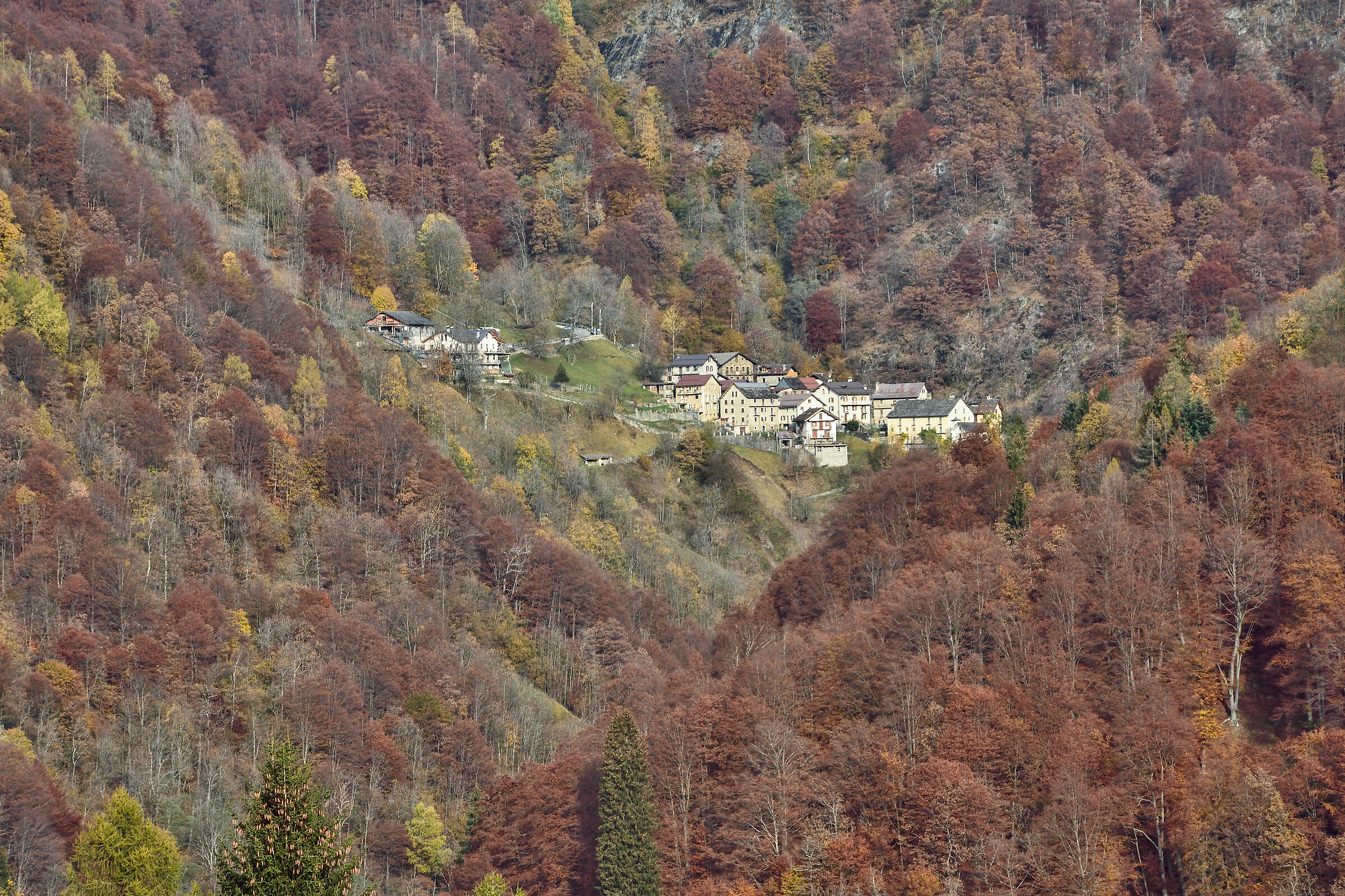 autunno 2020 ValSesia-Val Mastallone