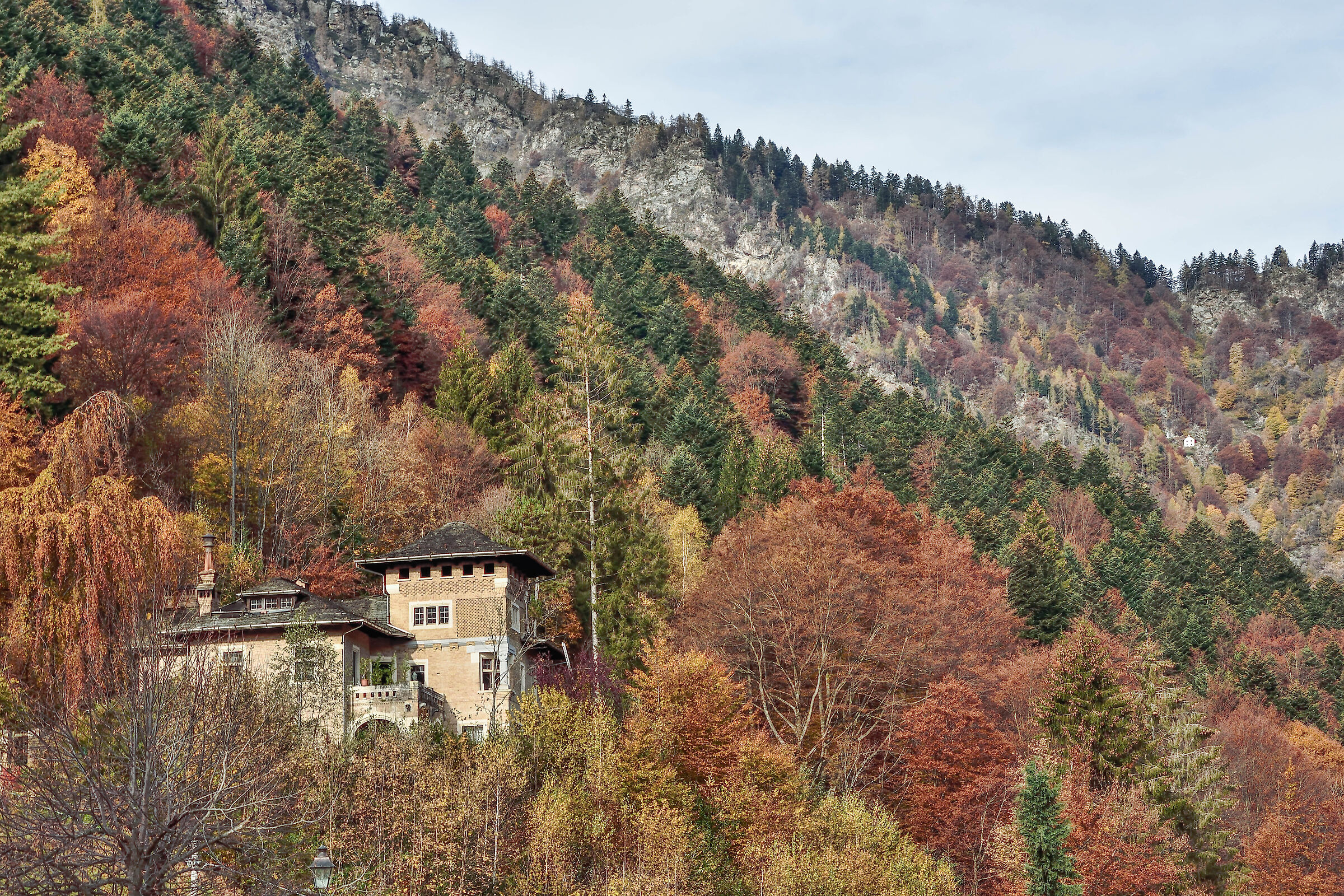 autunno 2020 ValSesia-Val Mastallone