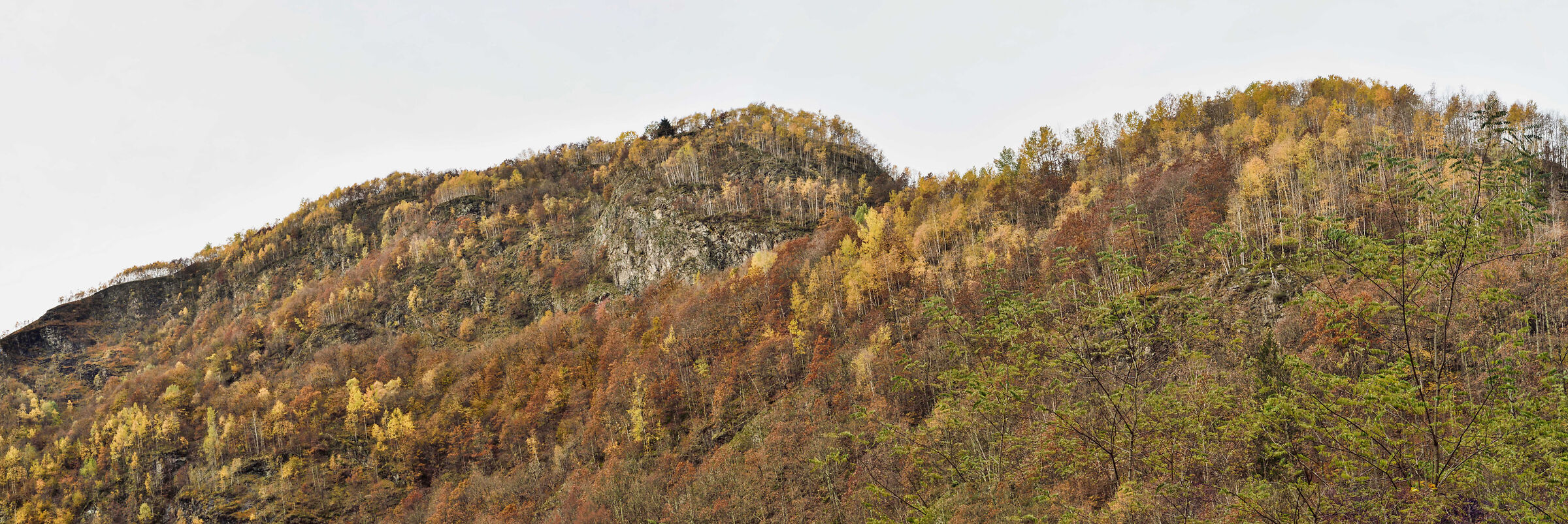 autunno 2020 ValSesia-Val Mastallone