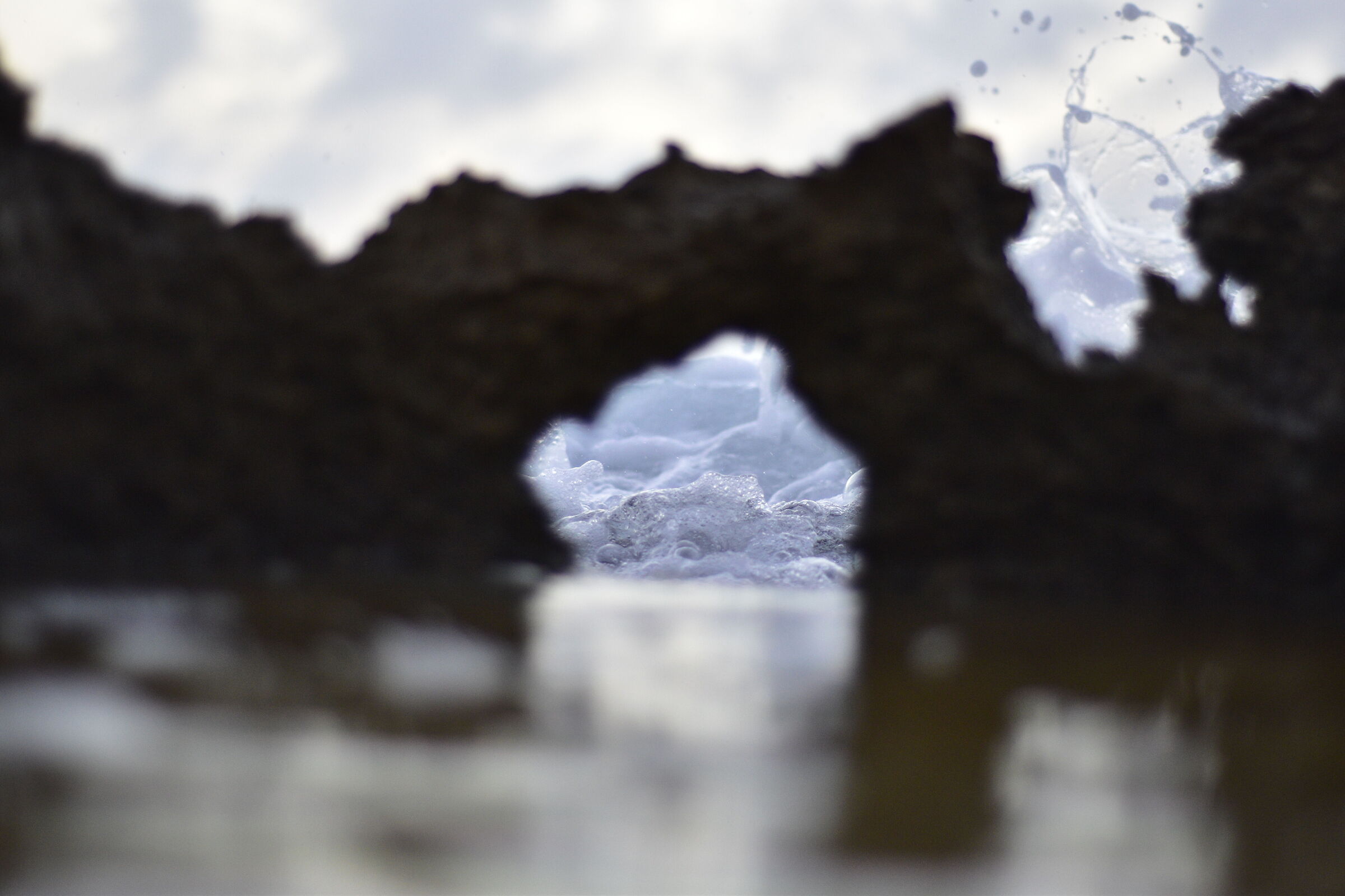 Sea
