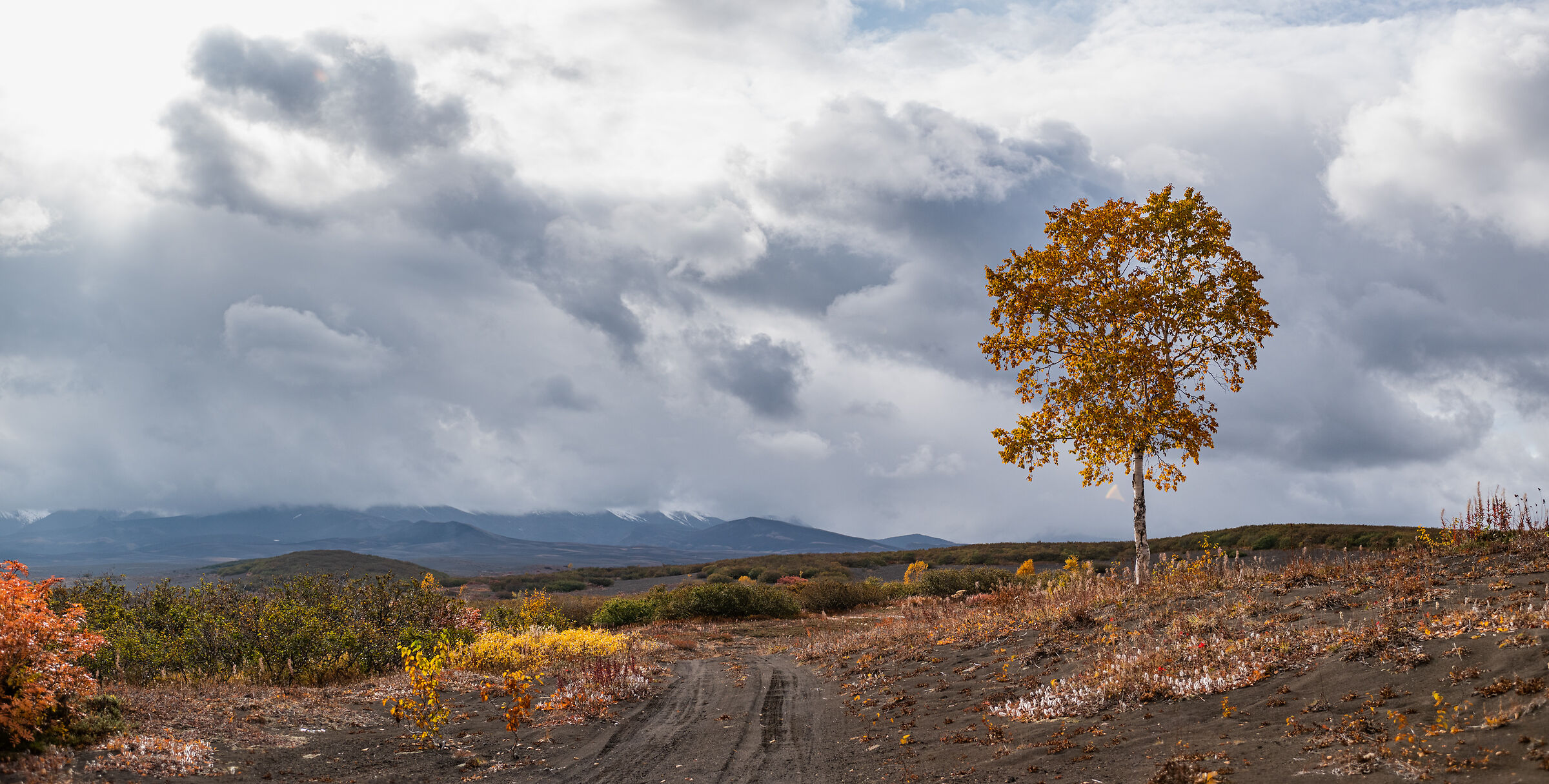 Scorie Autunno Kamchatka