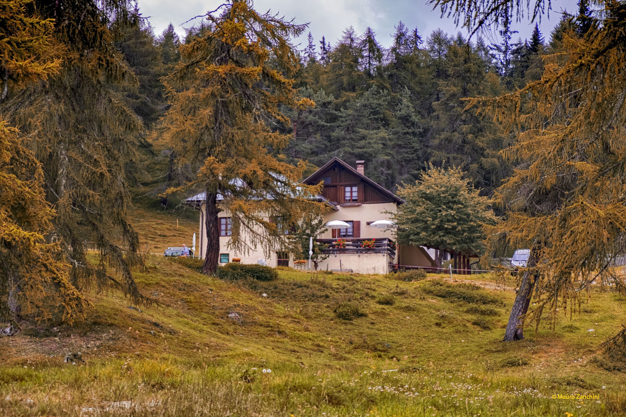 Untitled Photo