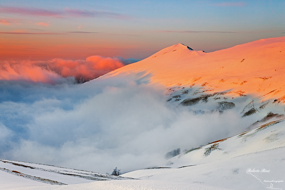 the summit above the fog