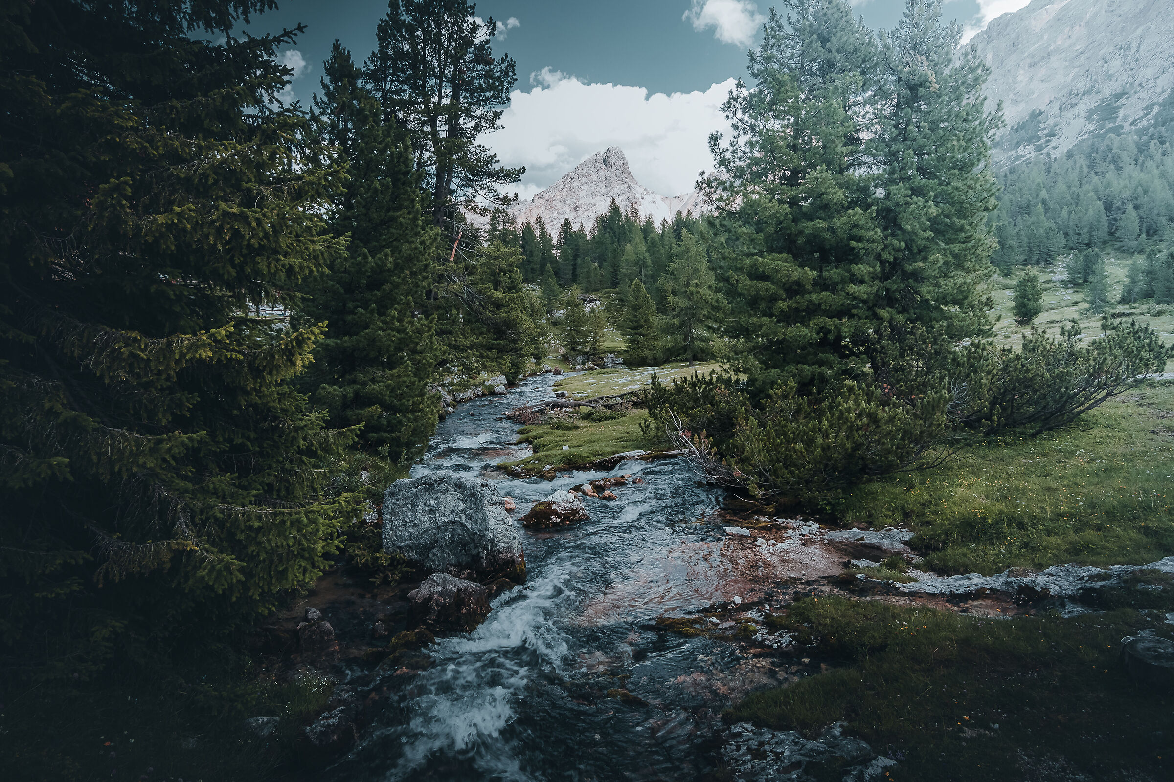 Il mio posto preferito