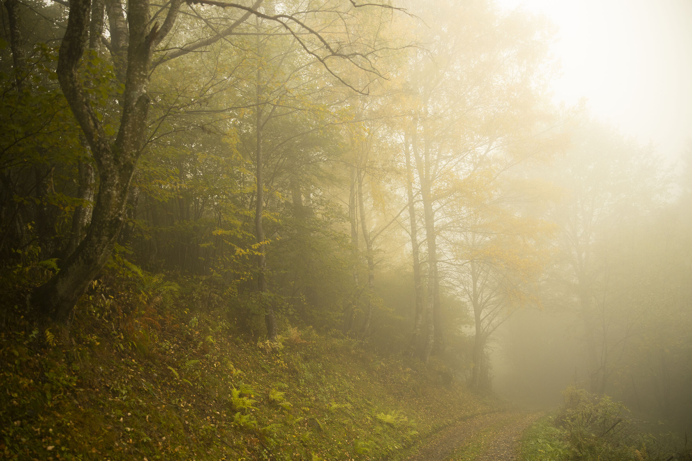 Gloomy day in the mountains.