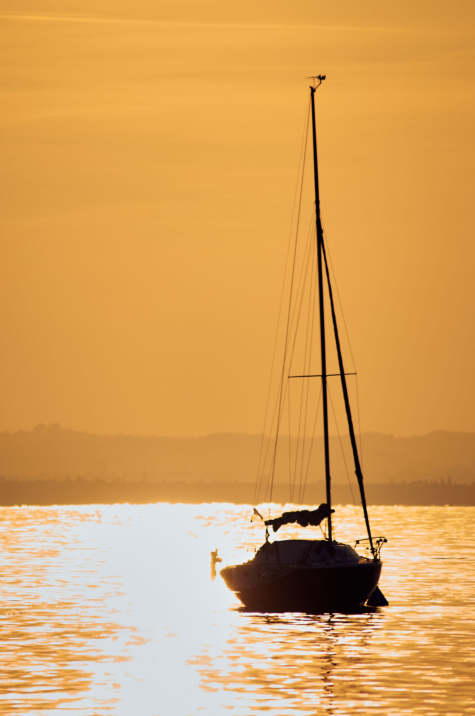 Golden hour