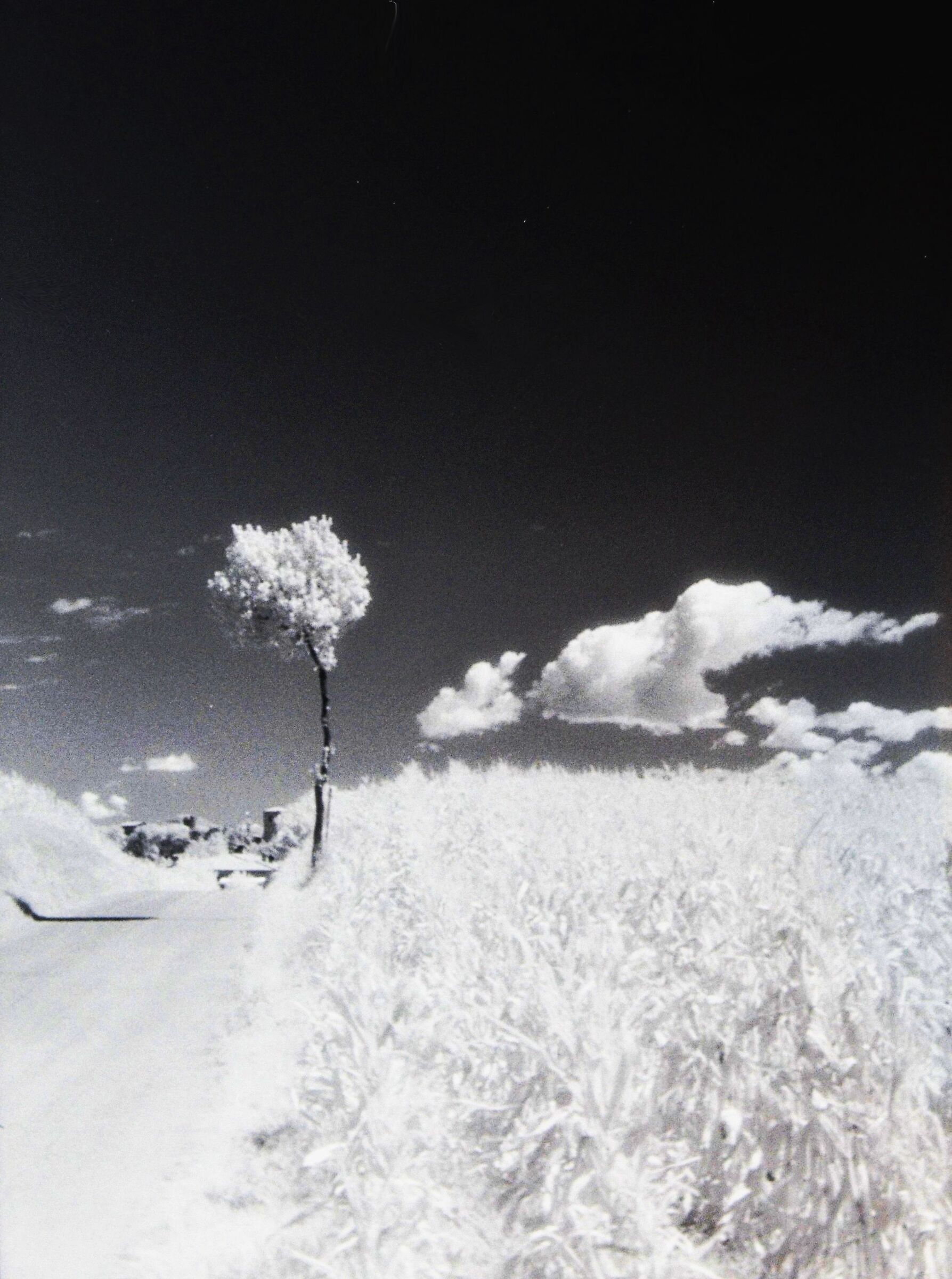 Valtenesi infrared I