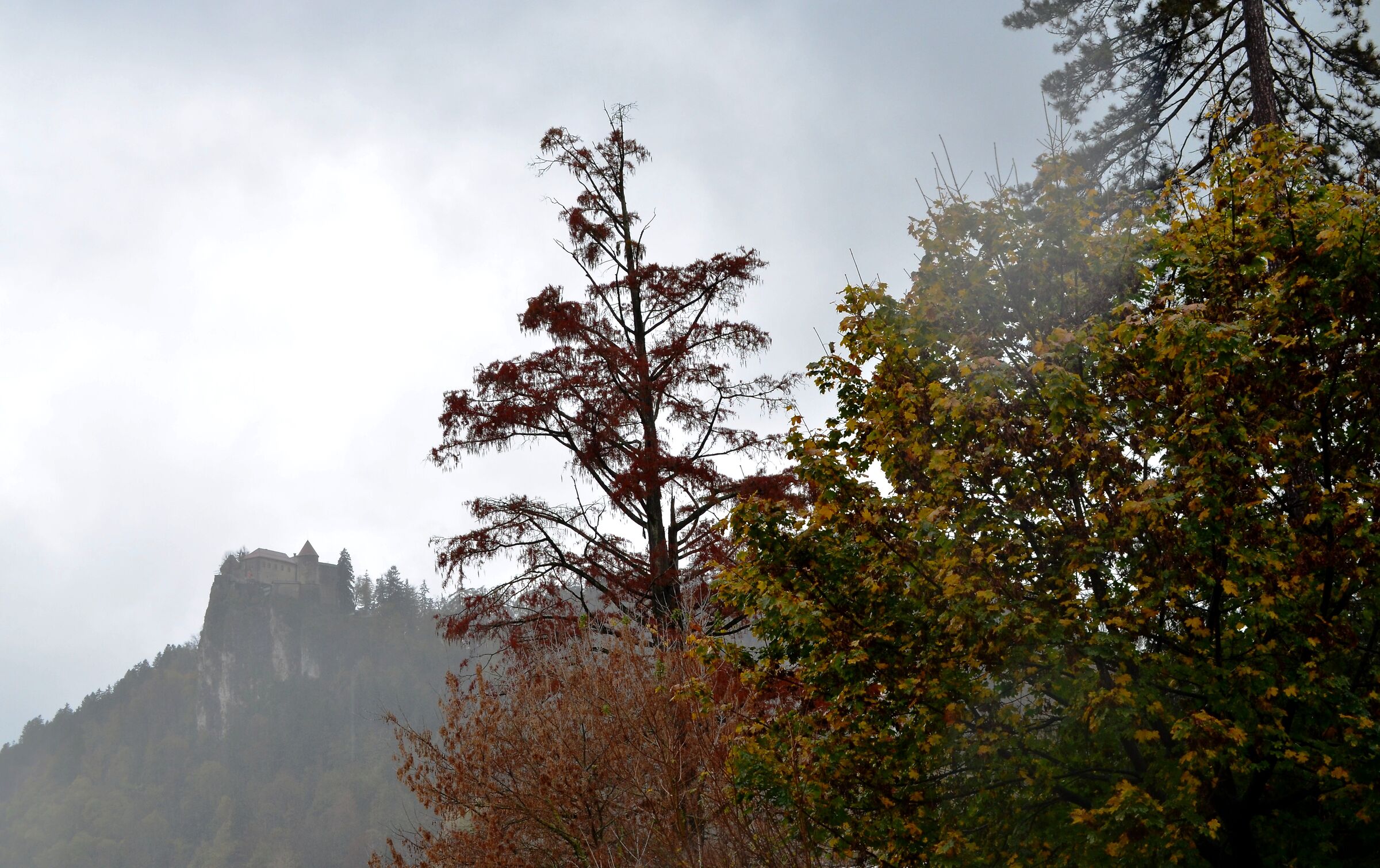 Castello di Bled