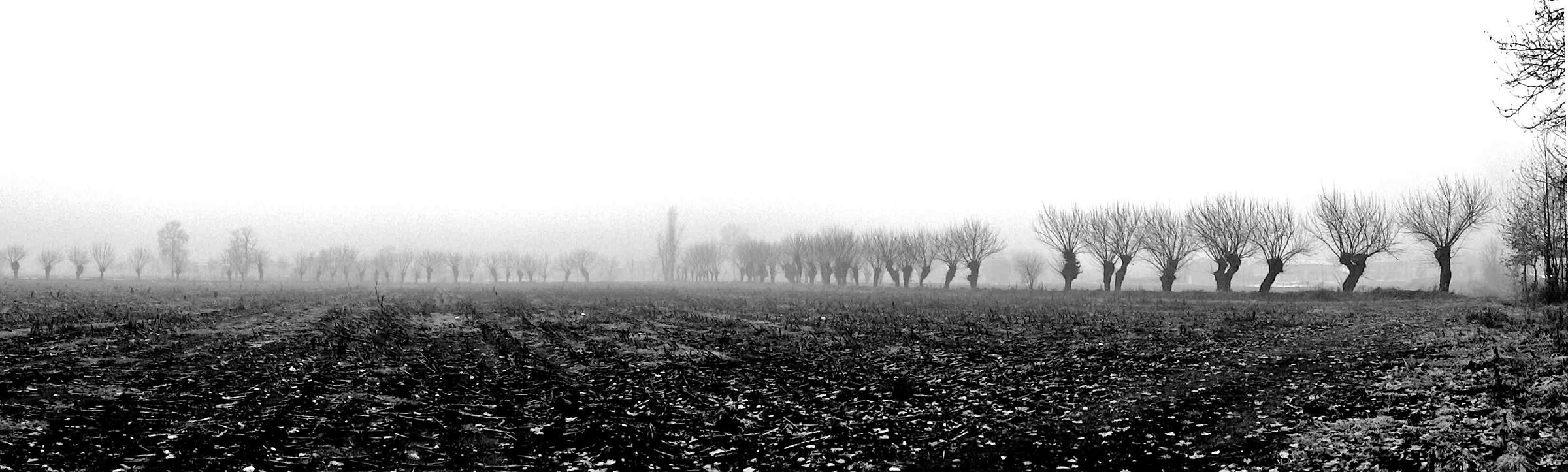 Mist in Valtenesi