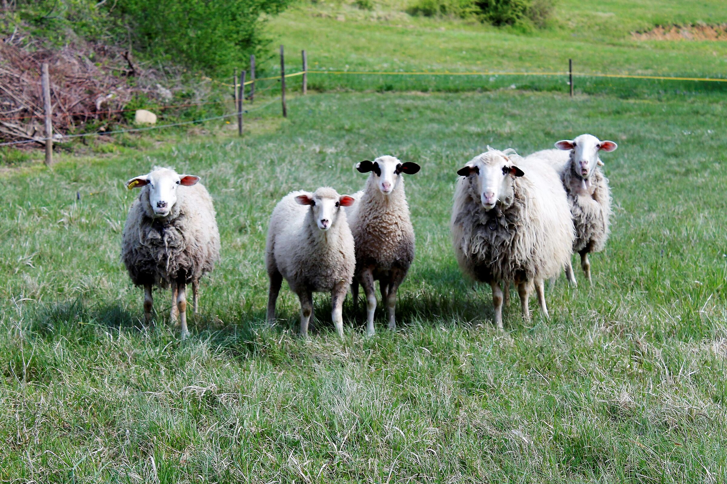 bhhhheeeeeeeeeeeeeee