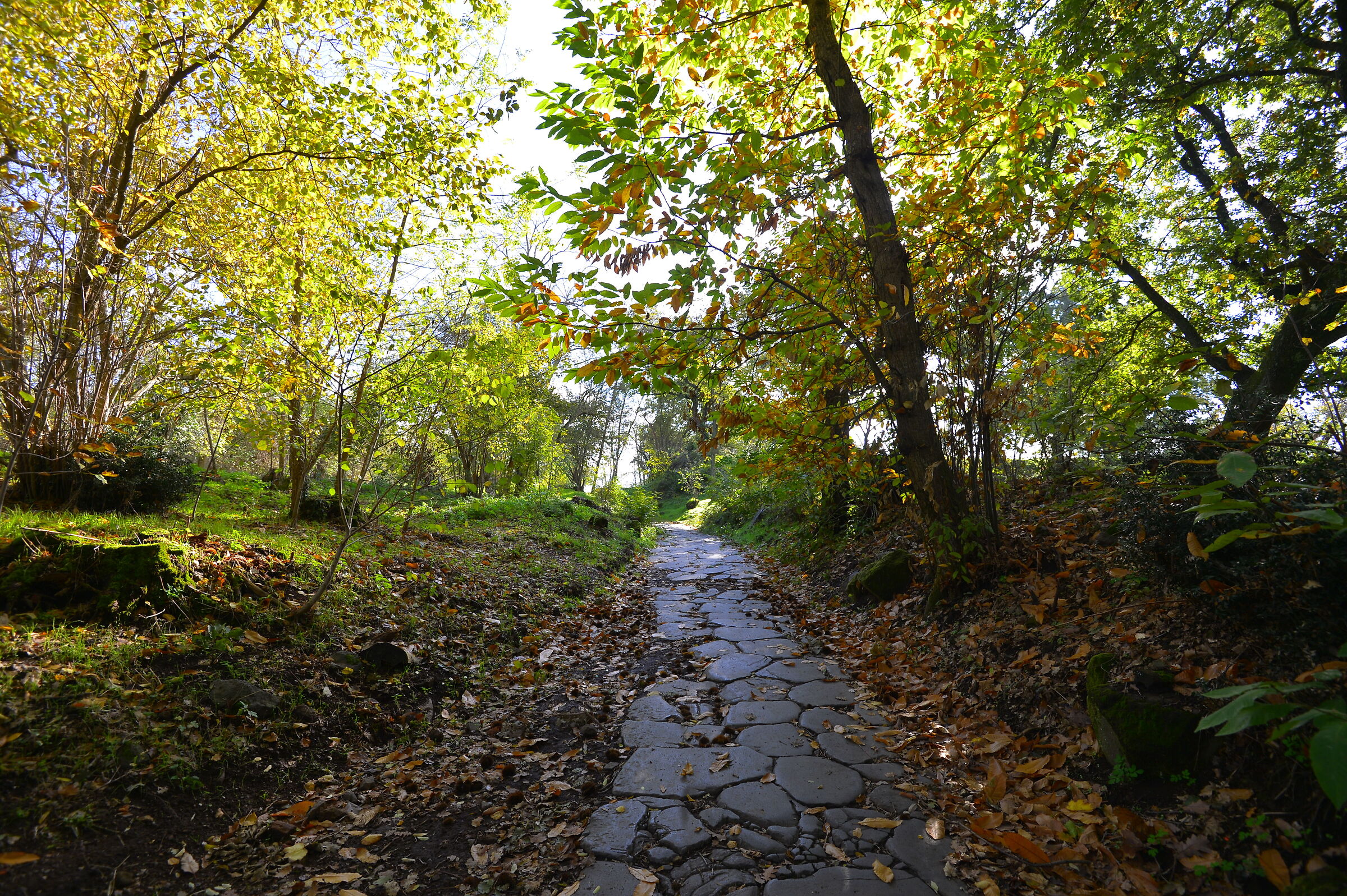 autunno sulla storia