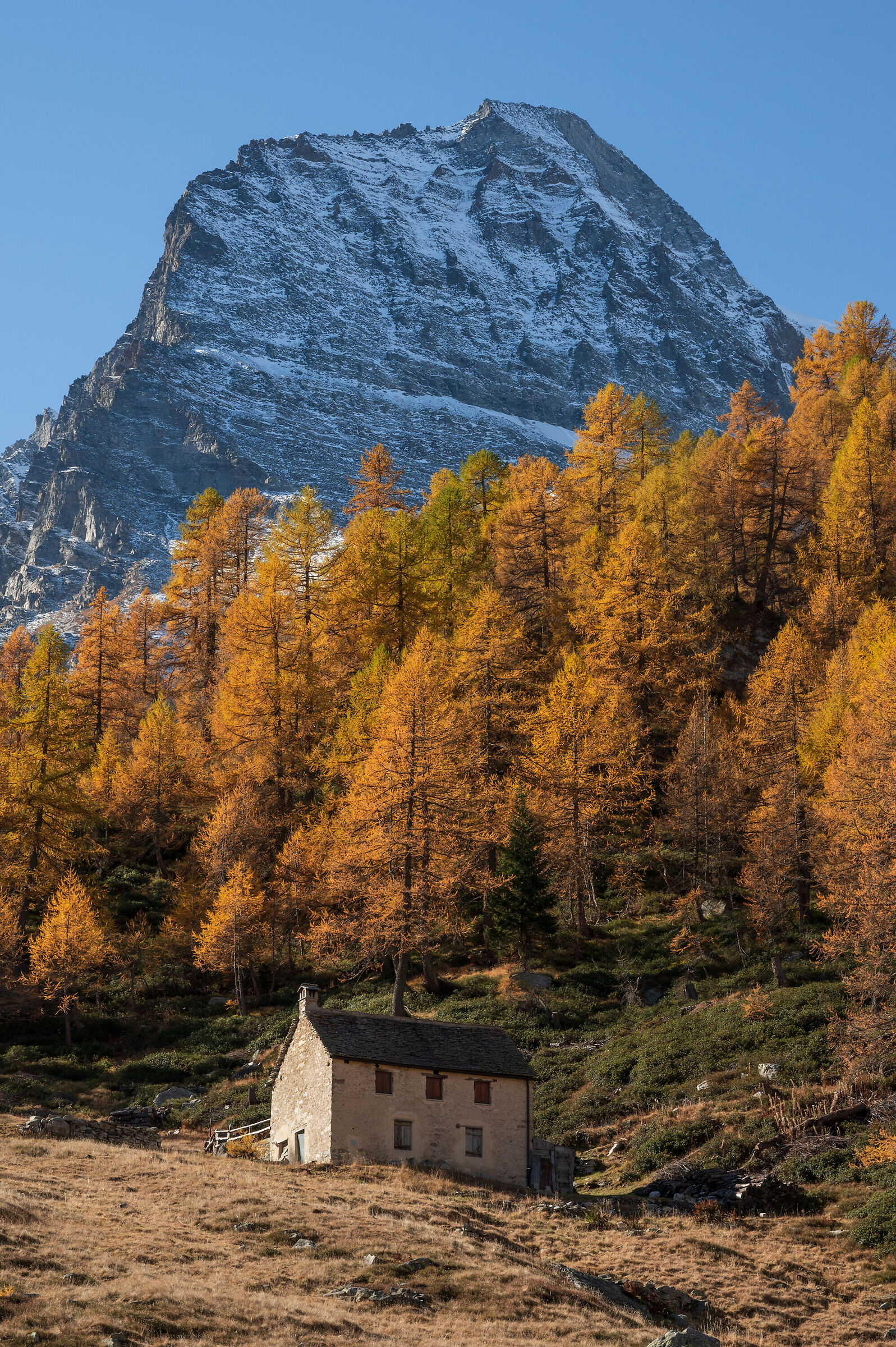 L'incombenza del Monte Leone