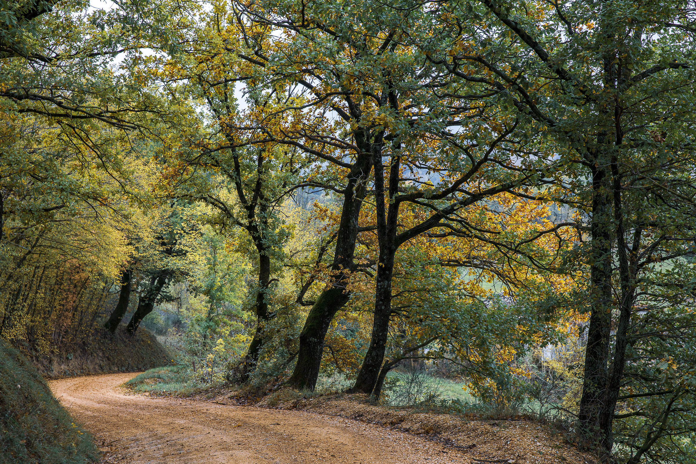 Wandering around the Marche