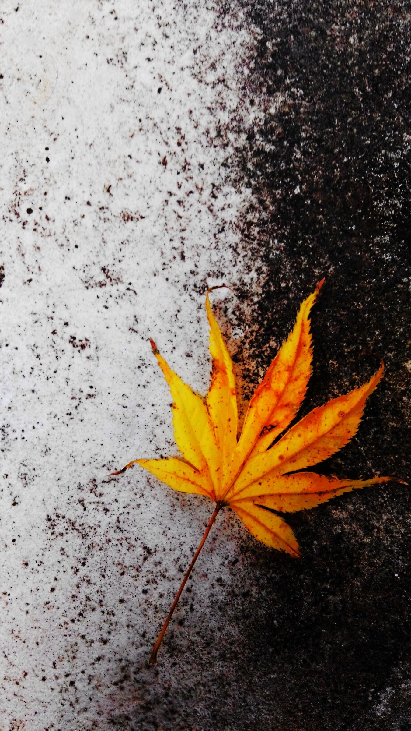 Visions from the bench...