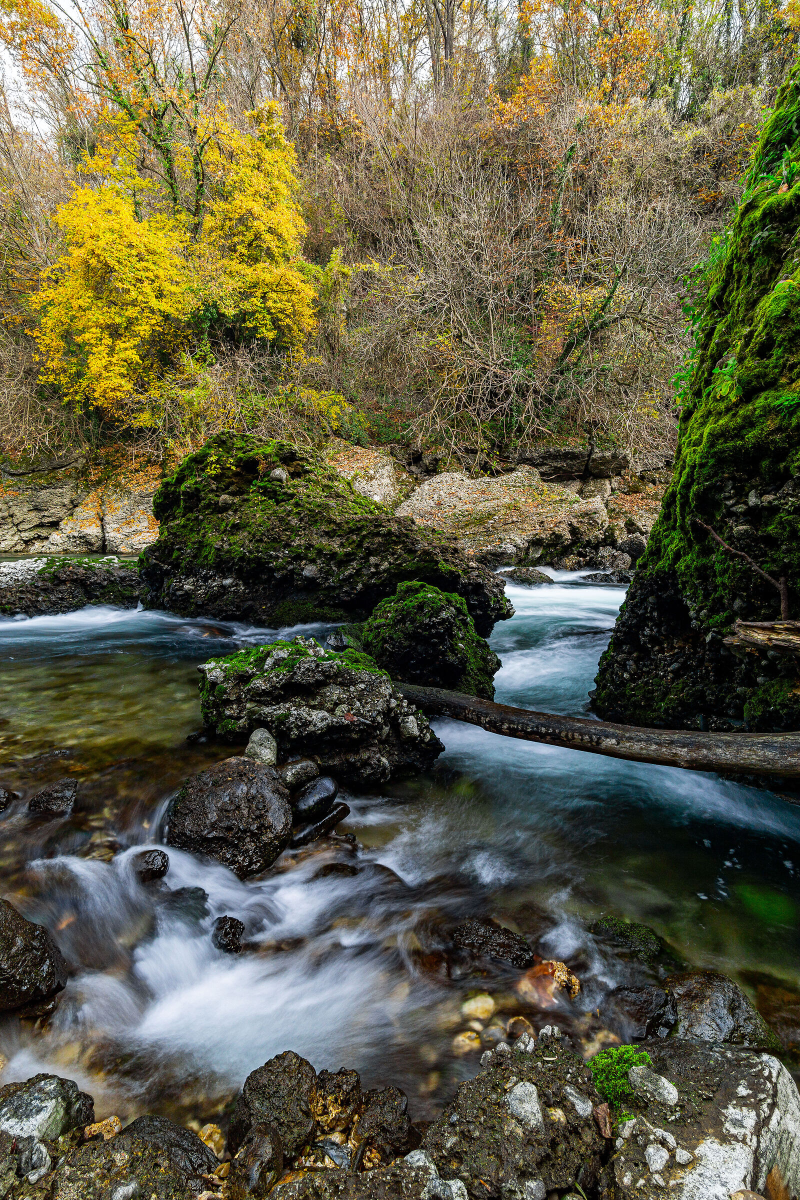 The rapids of the Adda River 1