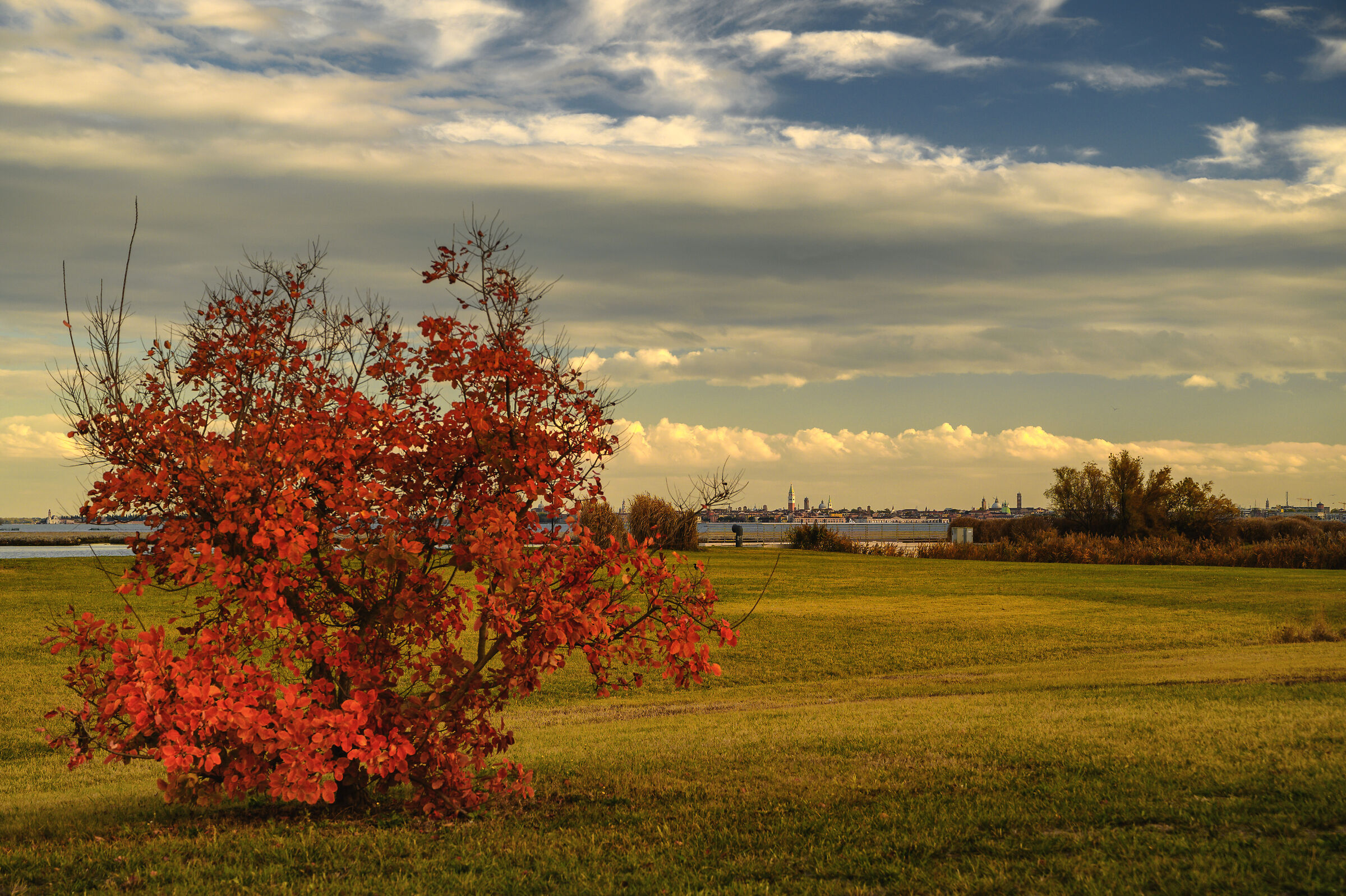 Parco san Giuliano