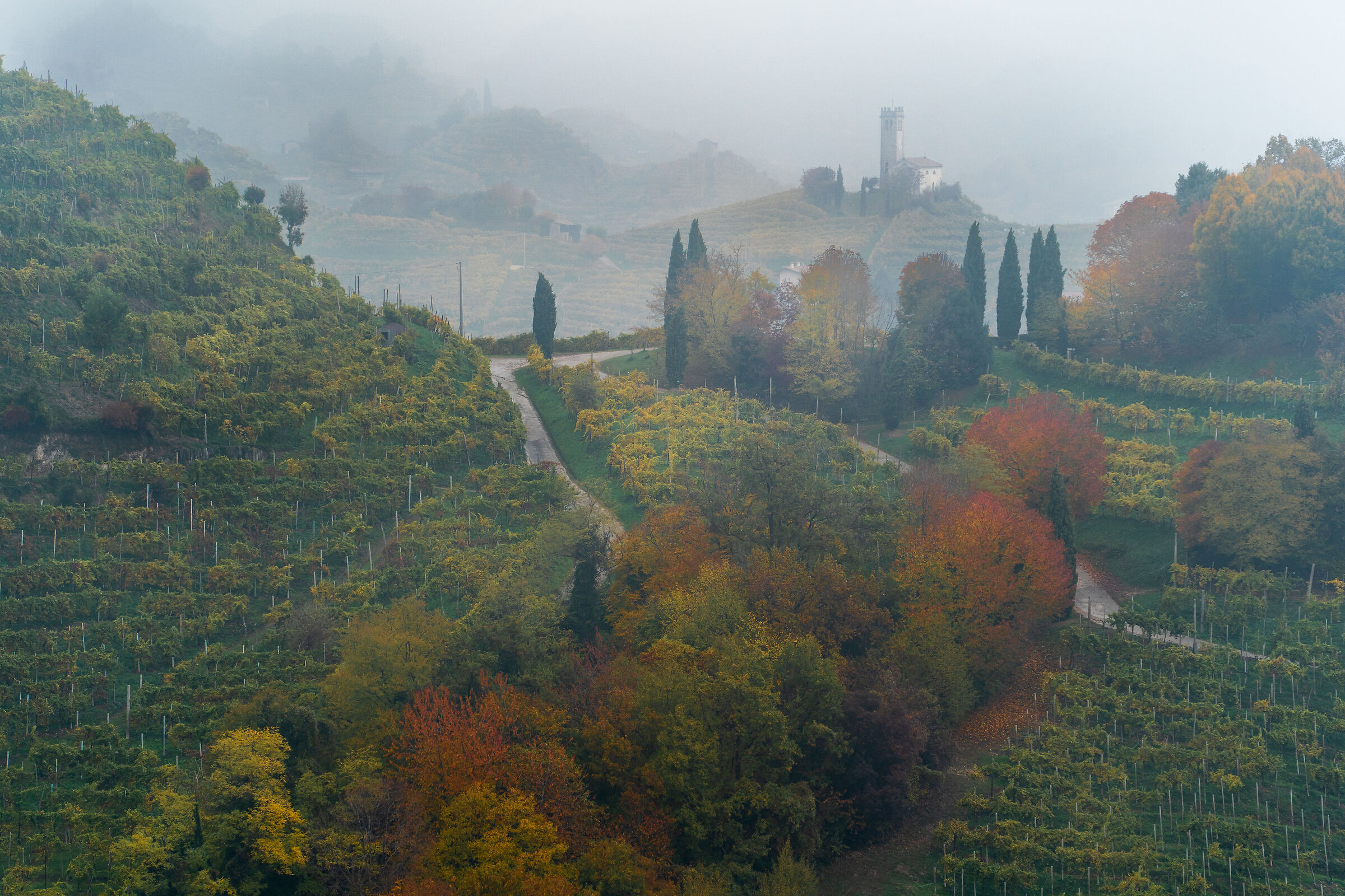... autumn fog on the hills ...