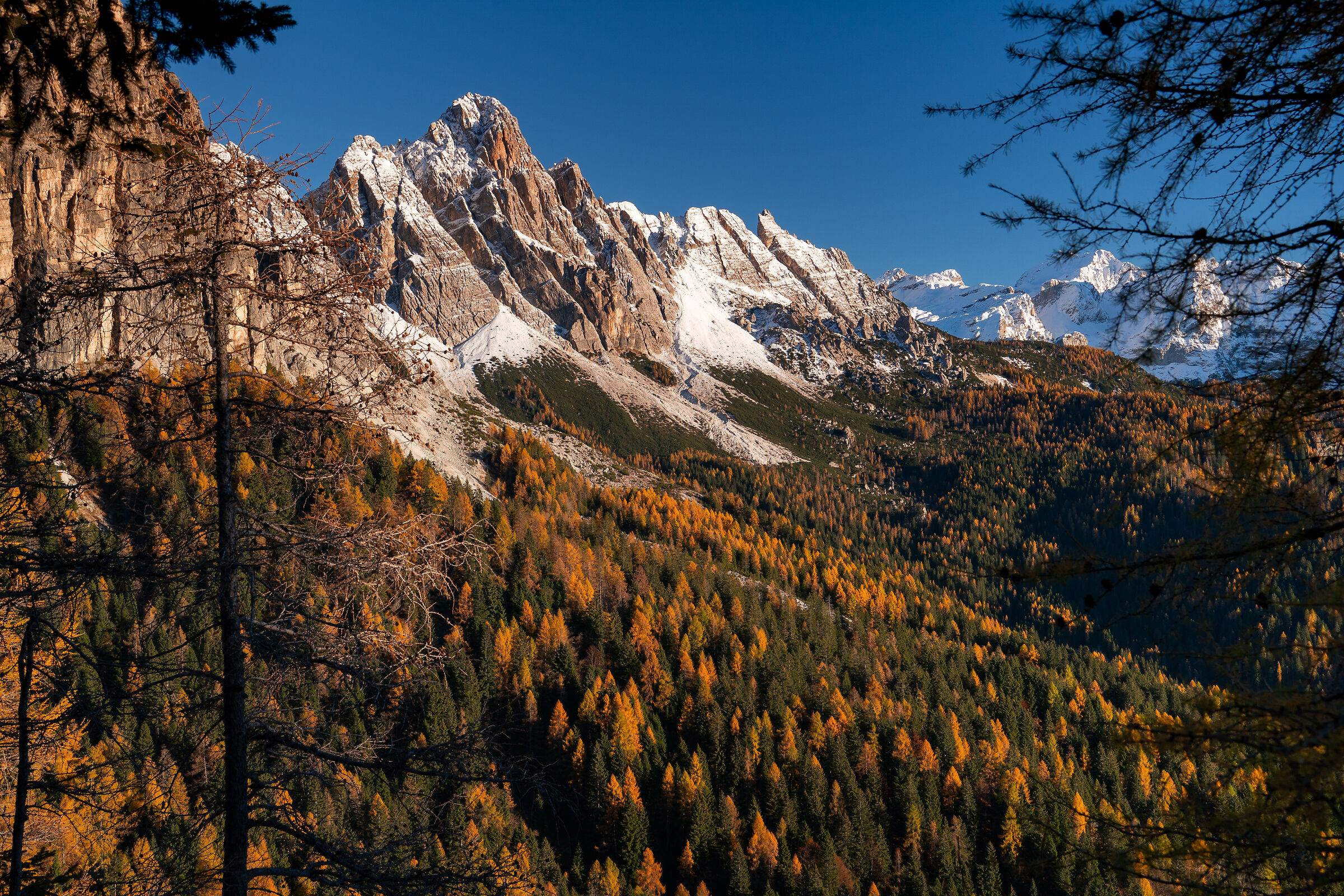 autumn view from Col Menadar