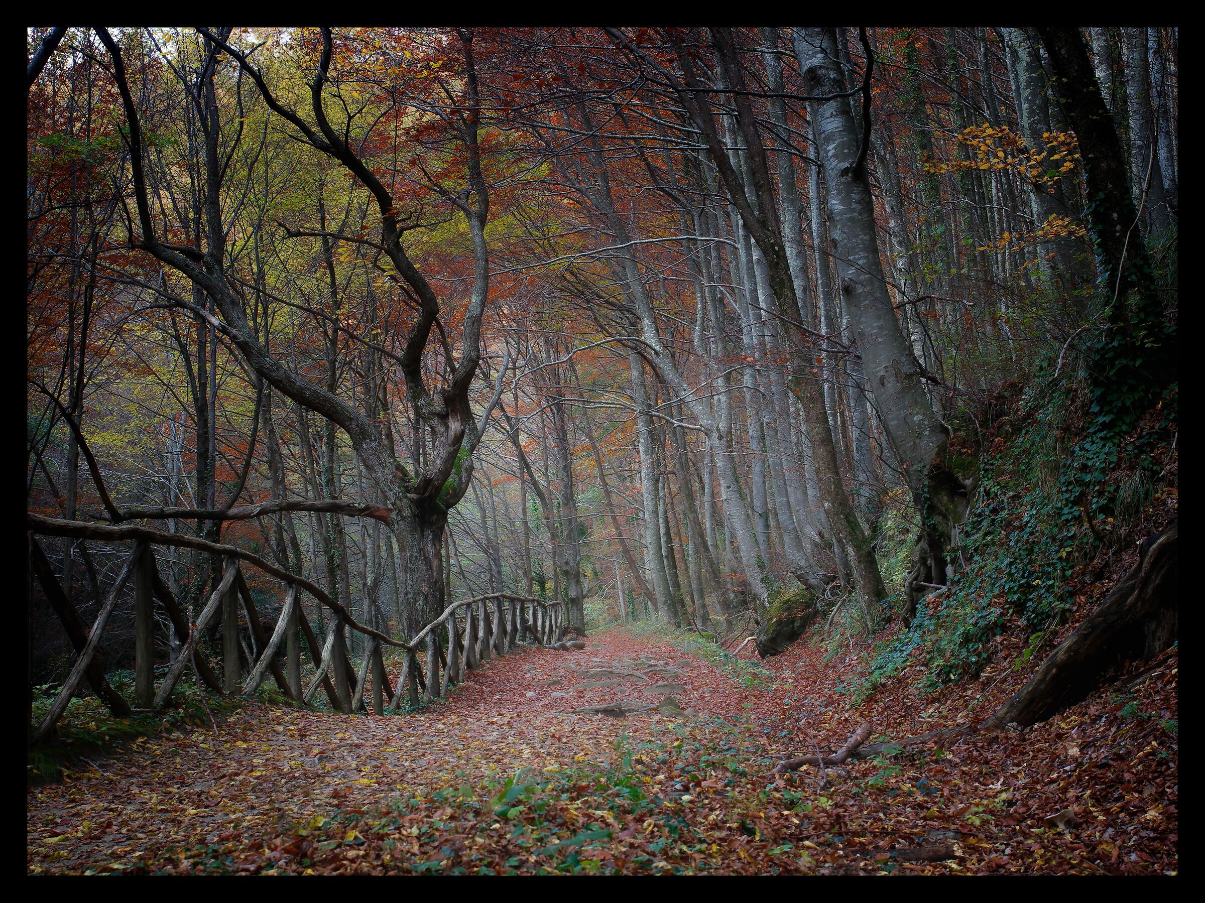Autunno sulle orme di Dante