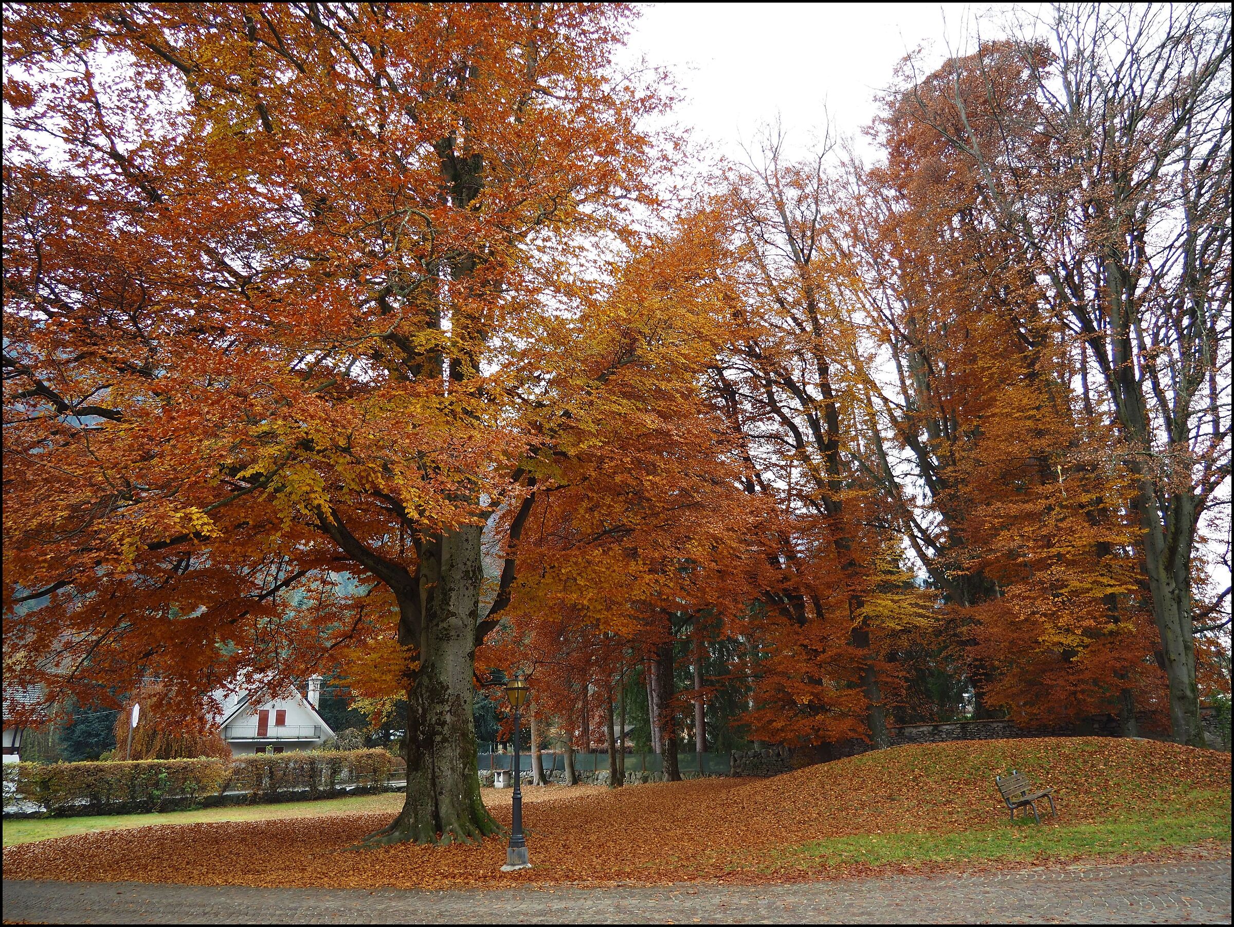 When nature is spectacular