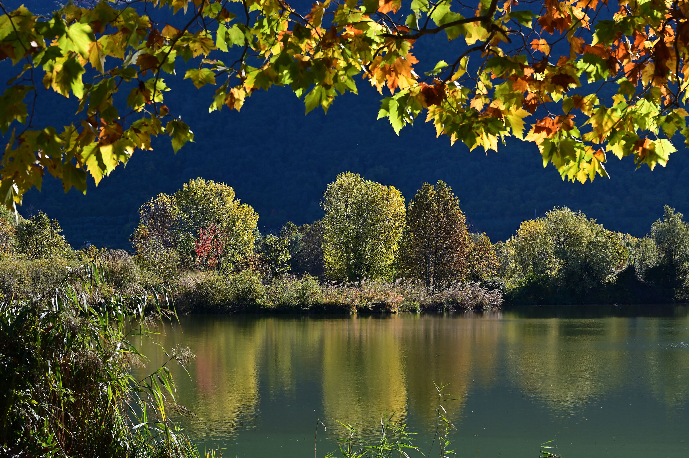 When nature gives a show. 2