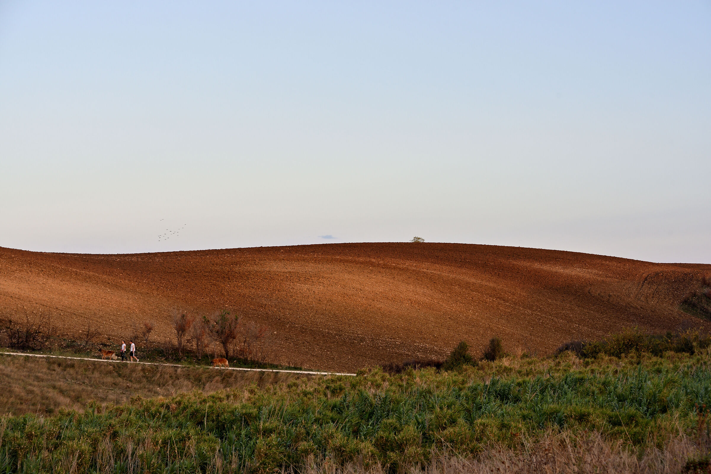 Con gli amici fidàti