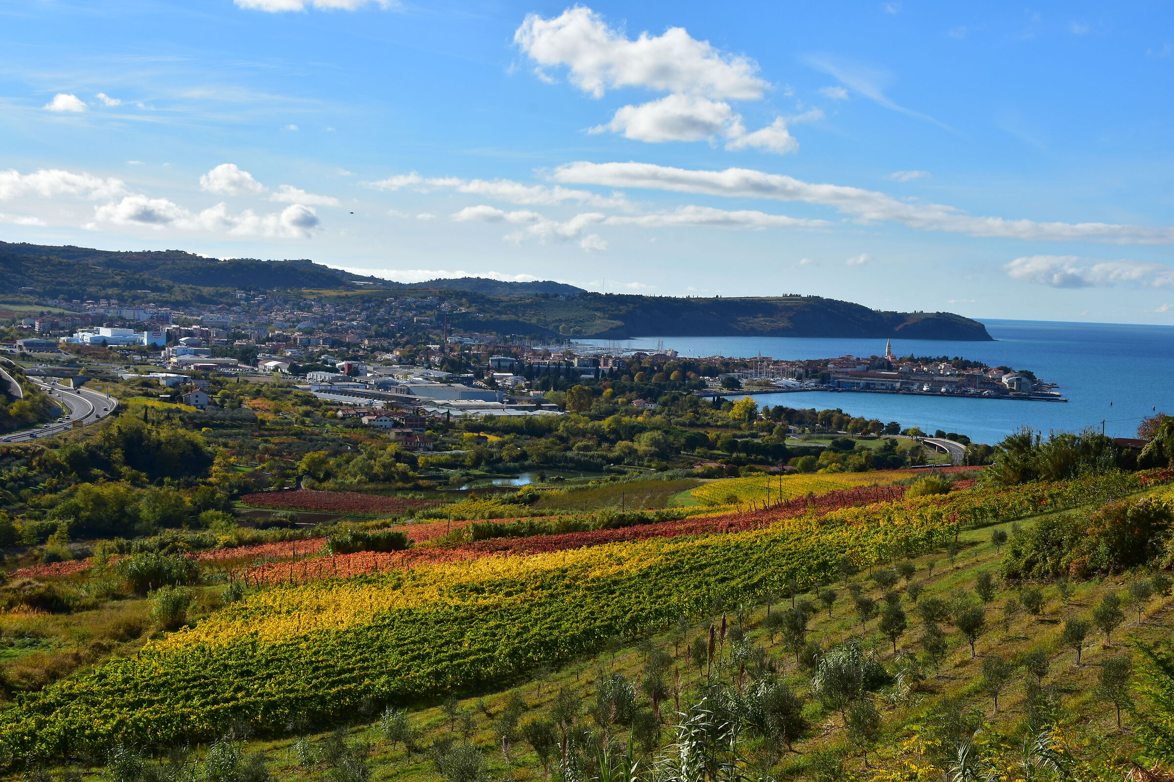Izola,Isola d'Istria