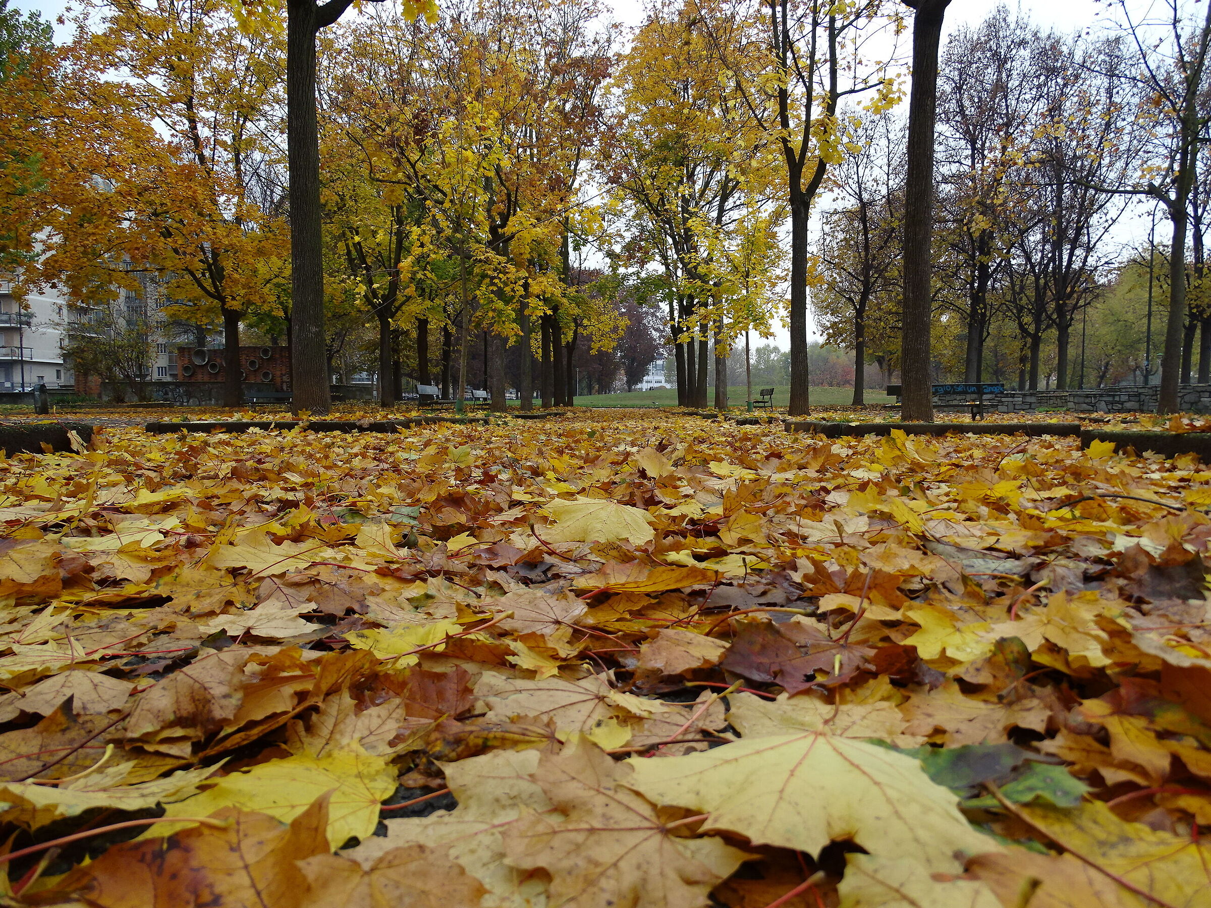 Autumn in Turin_1