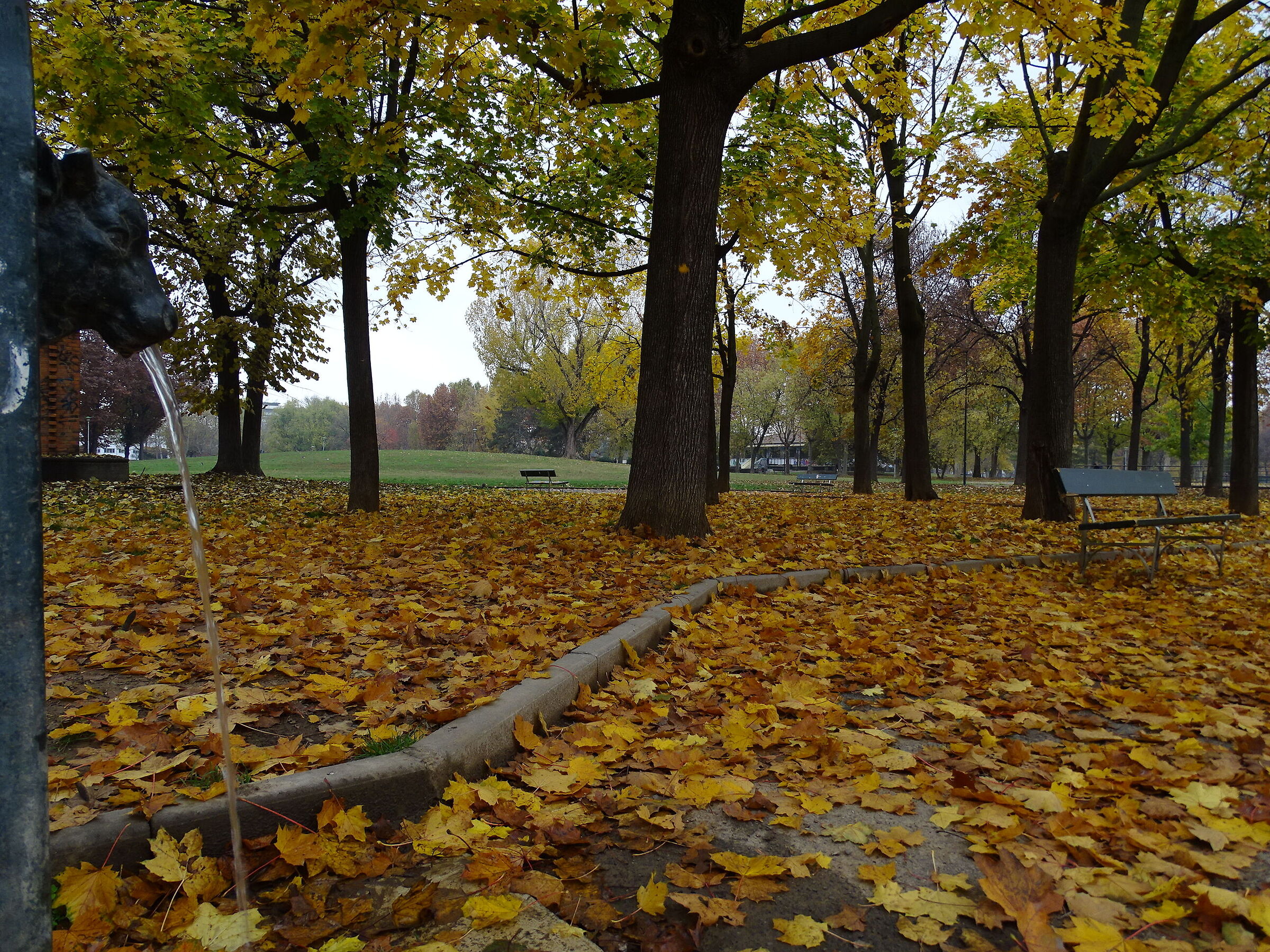 Autumn in Turin_2