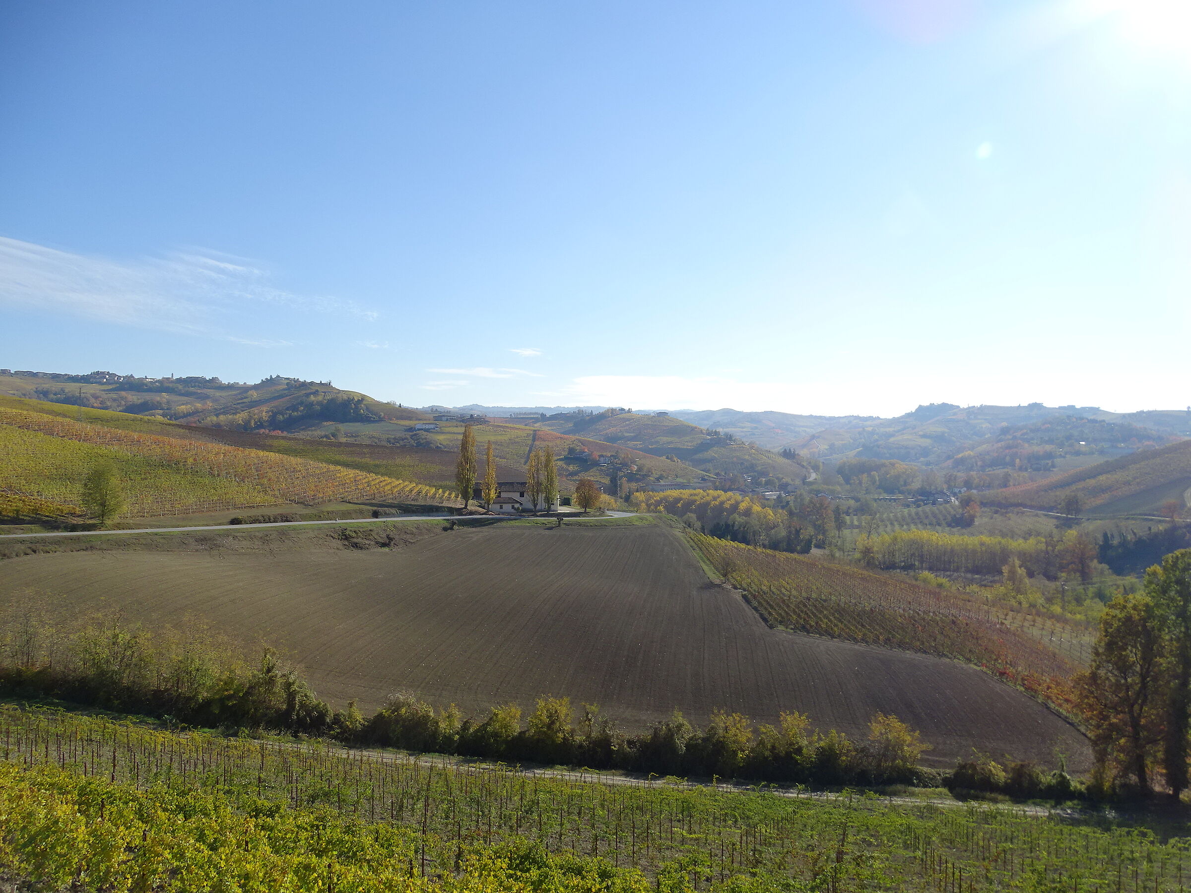 Langhe in autunno
